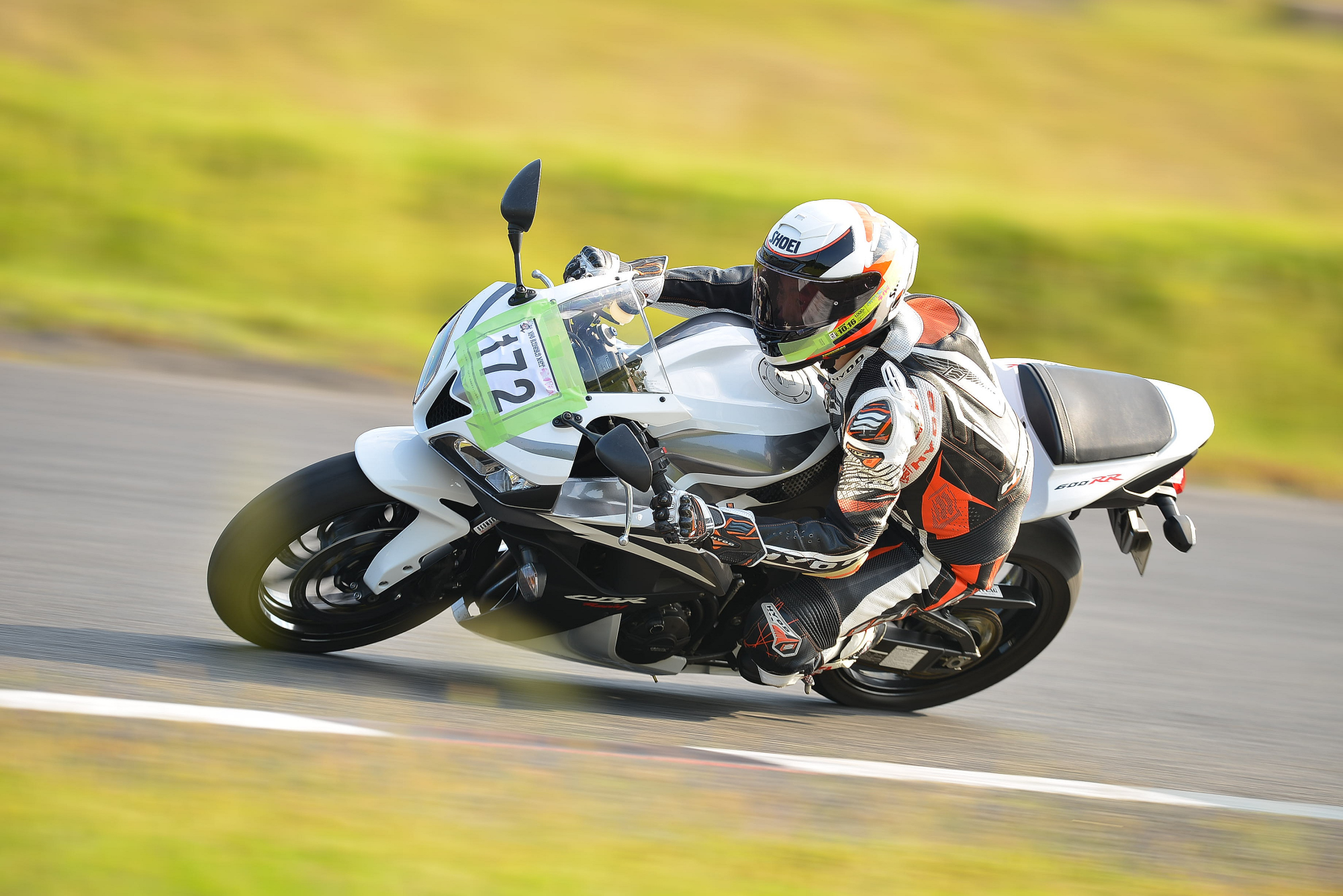 D8J_0604.JPG