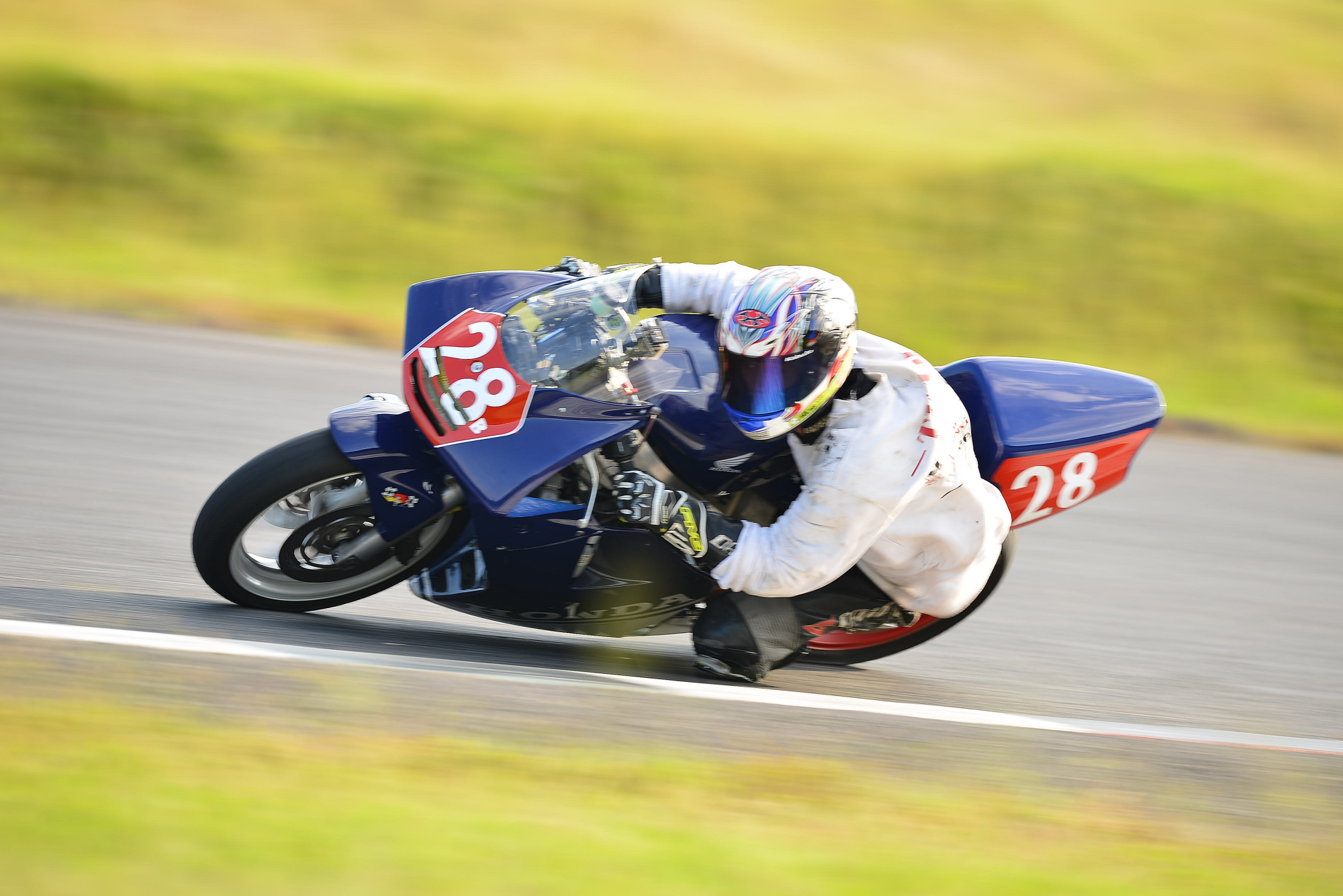 D8J_0651.JPG