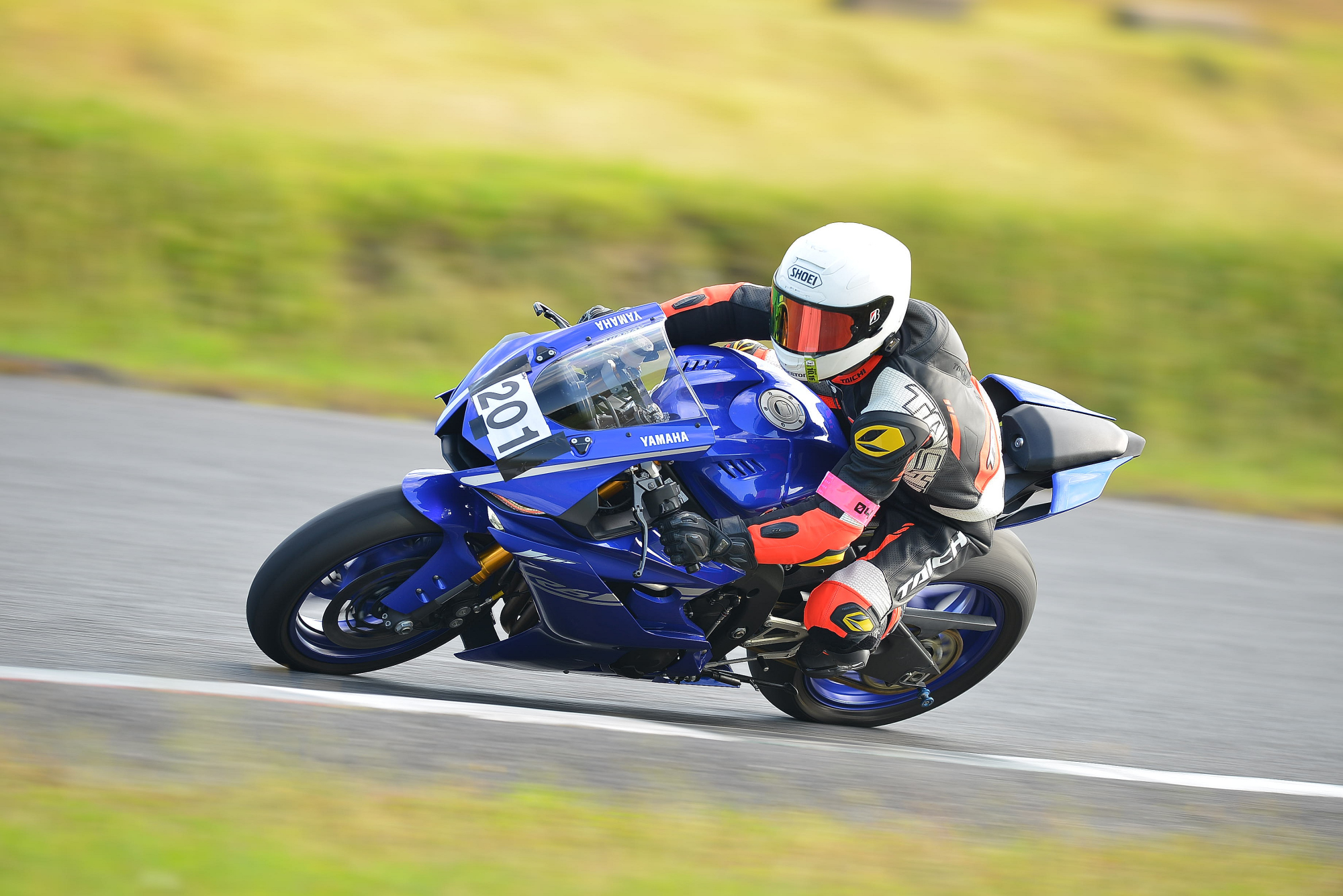 D8J_0671.JPG