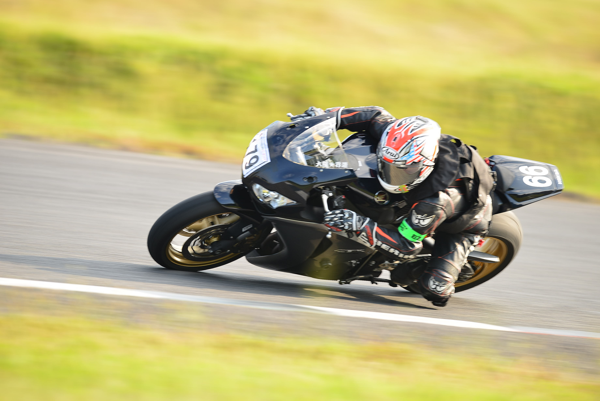 D8J_0781.JPG