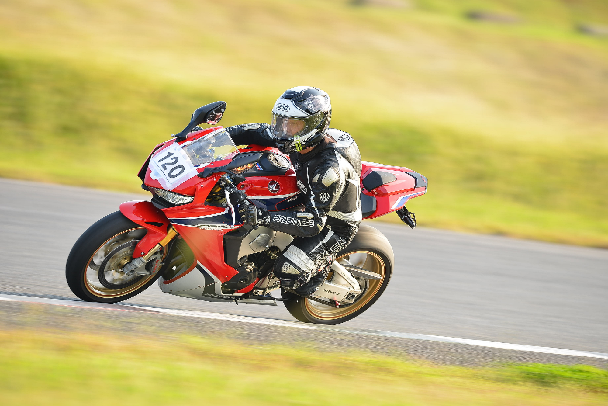 D8J_0836.JPG