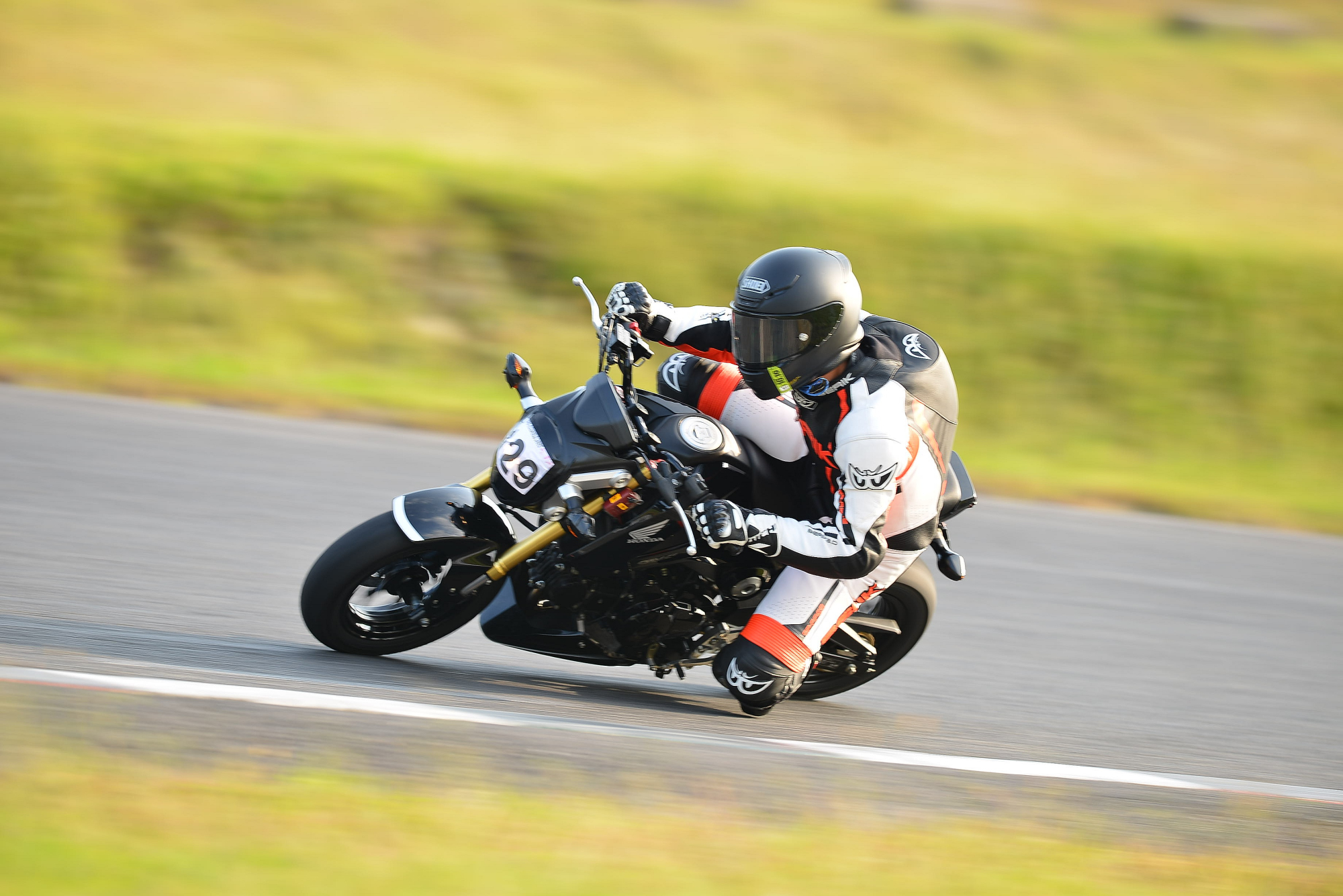 D8J_0955.JPG