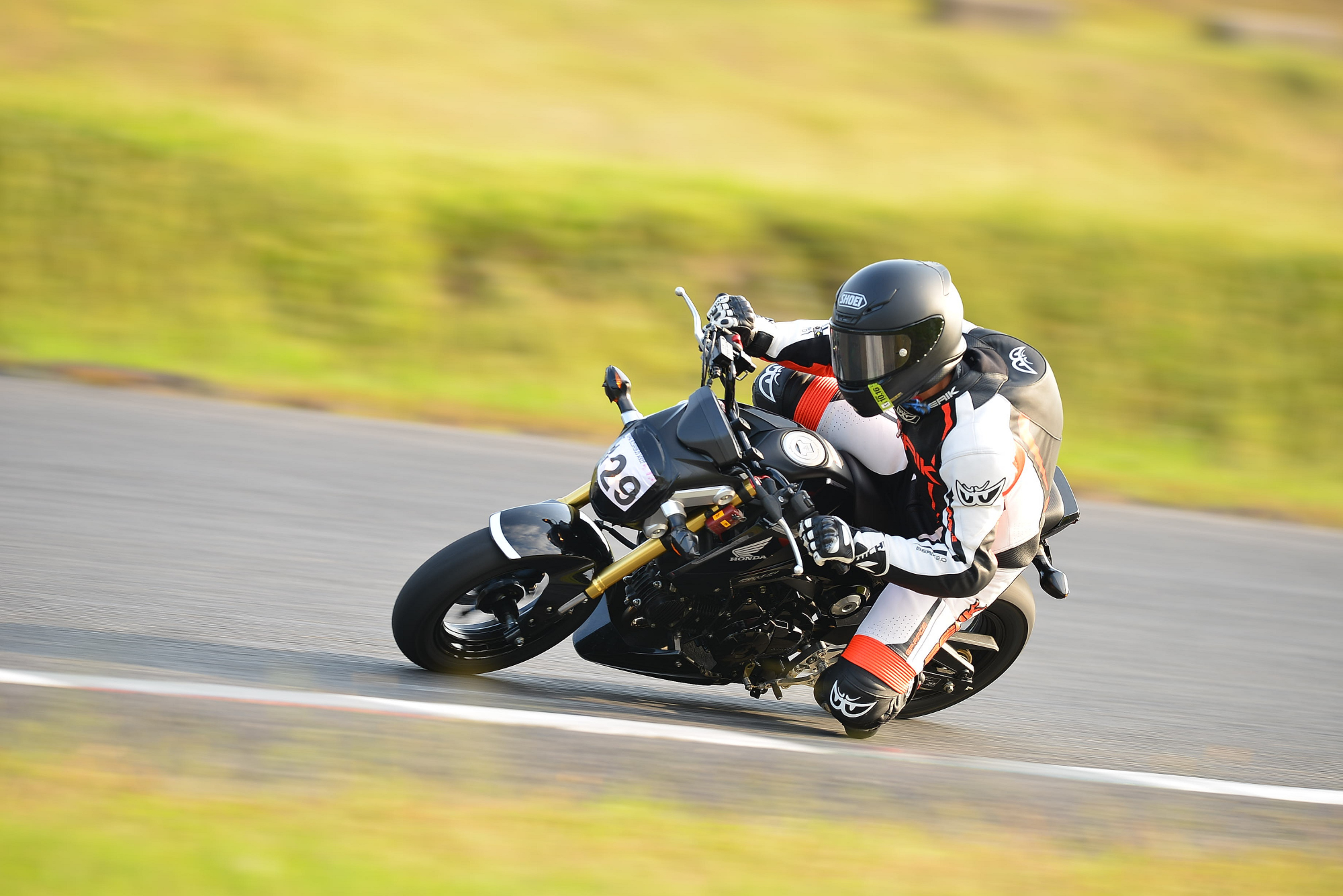 D8J_0982.JPG