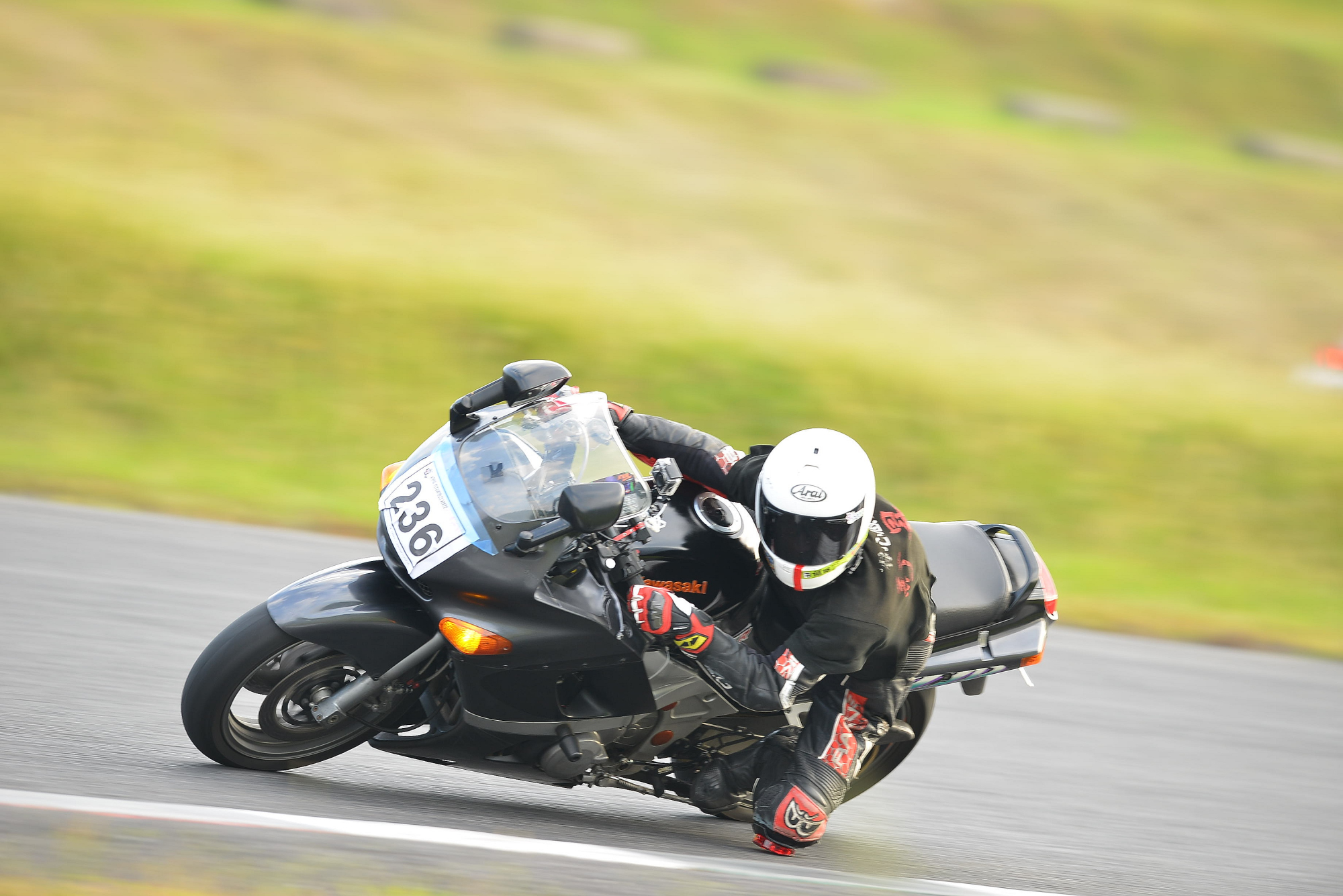 D8J_1291.JPG
