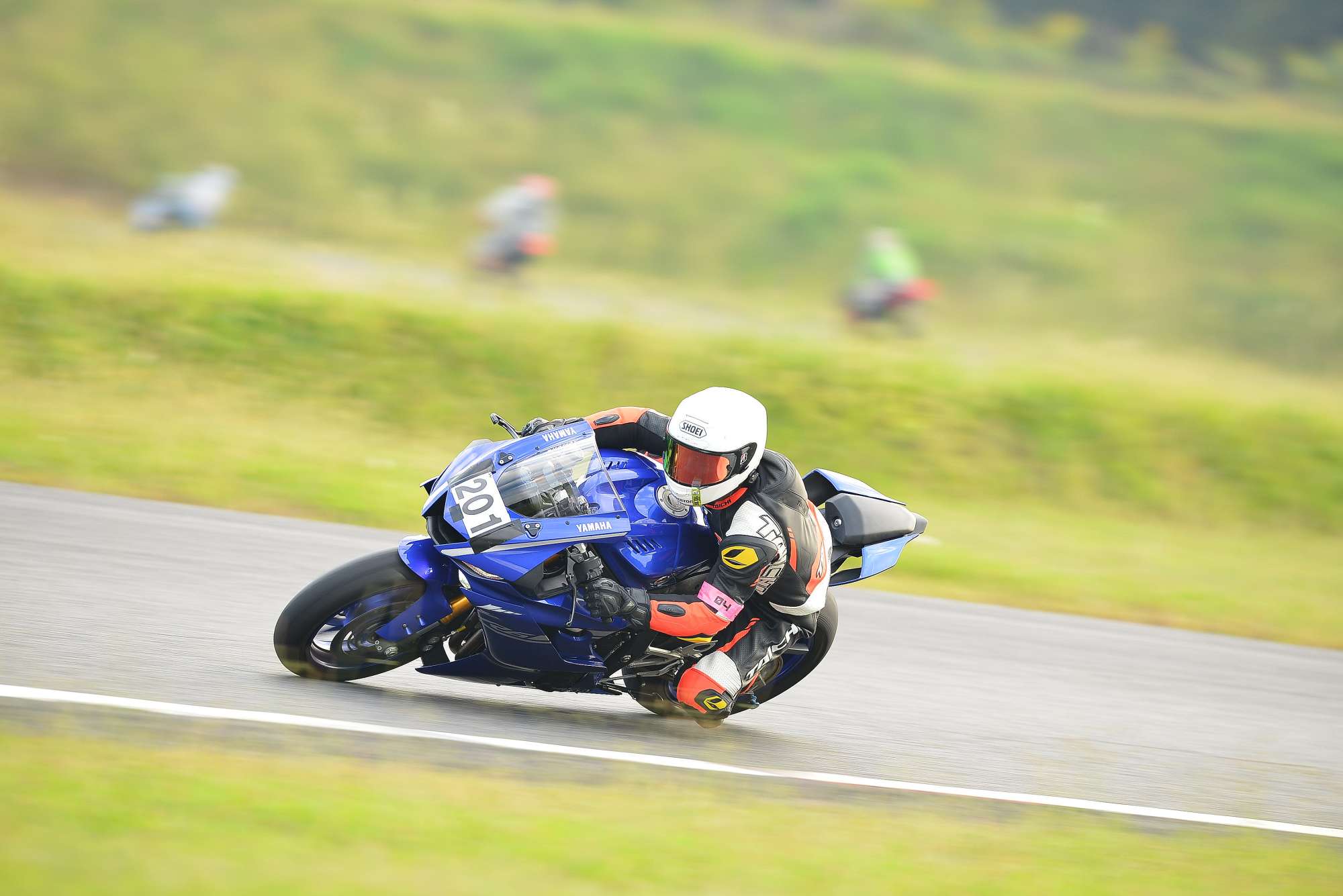 D8J_1317.JPG