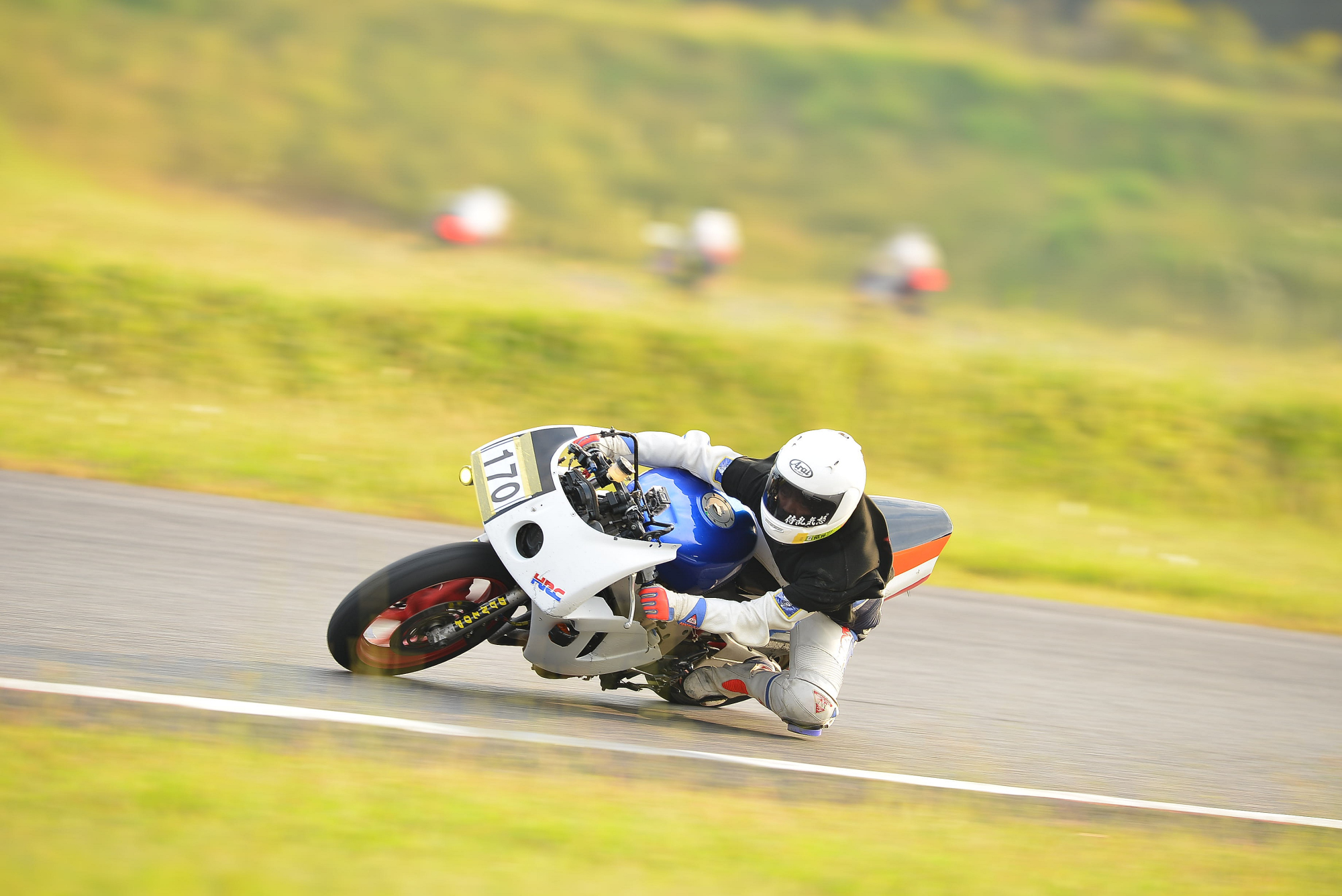 D8J_1384.JPG