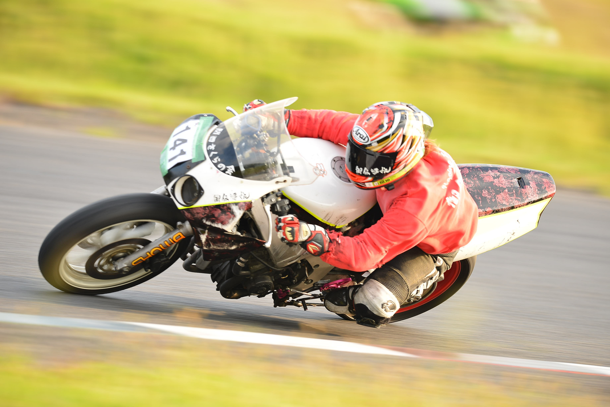 D8J_1390.JPG