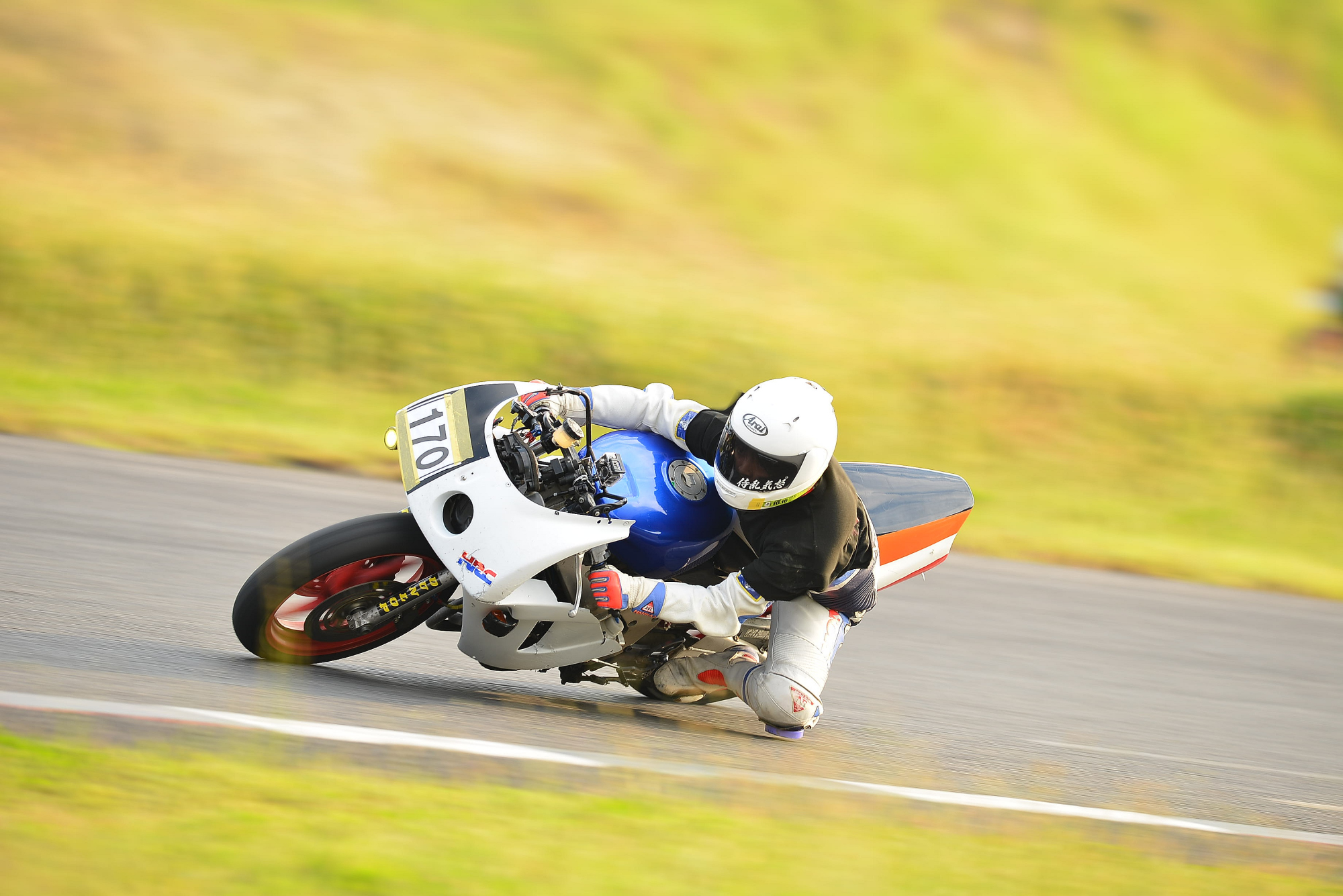 D8J_1426.JPG
