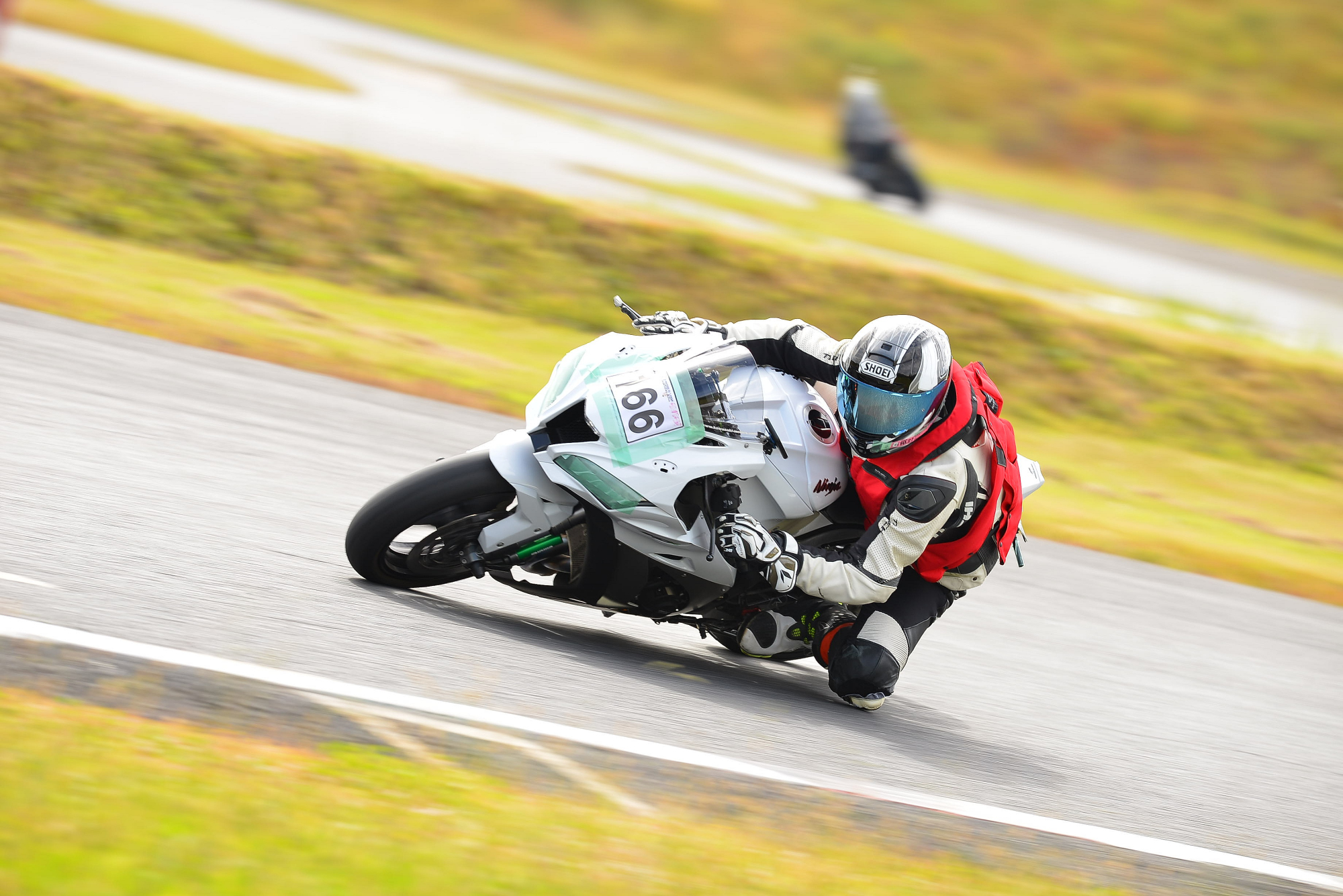D8J_0655.JPG