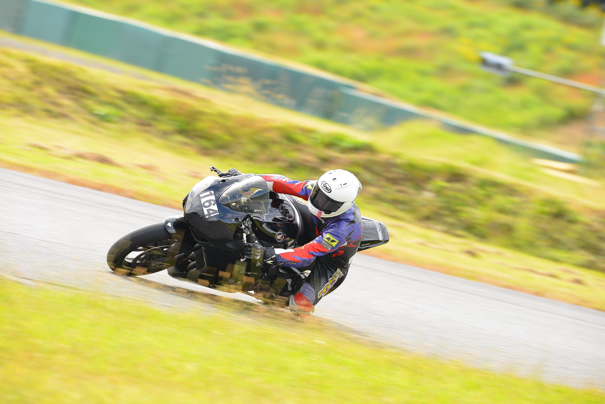 D8J_0665.JPG
