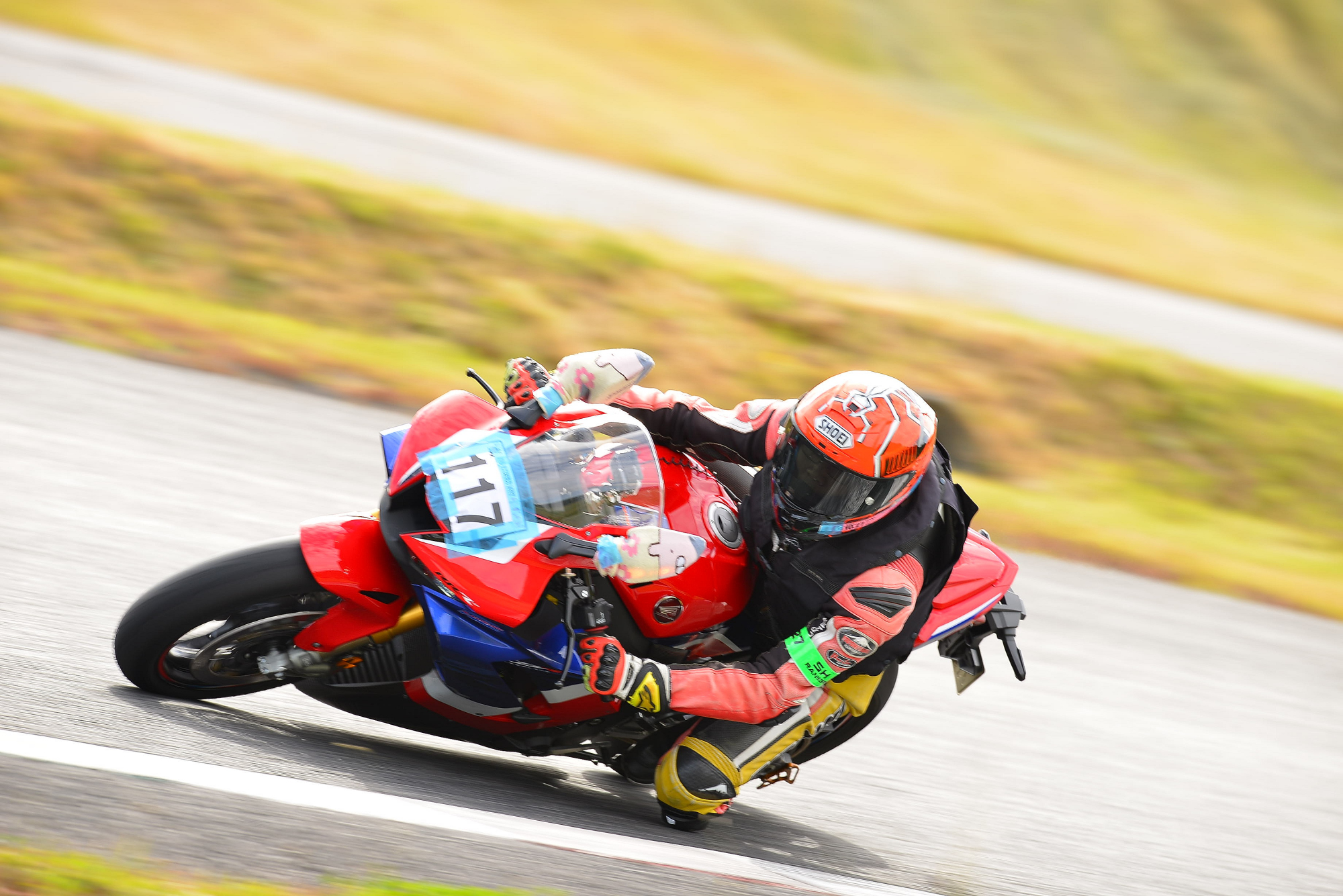 D8J_0814.JPG