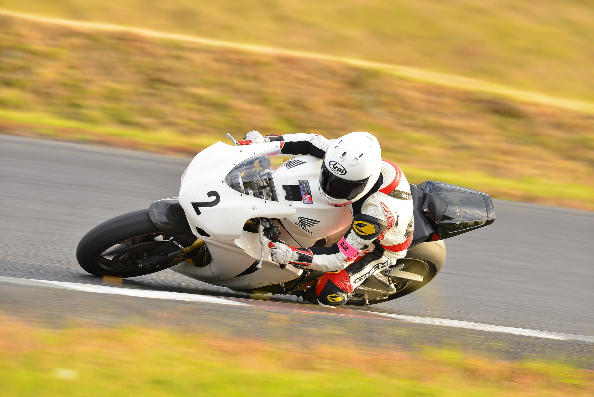 D8J_1490.JPG