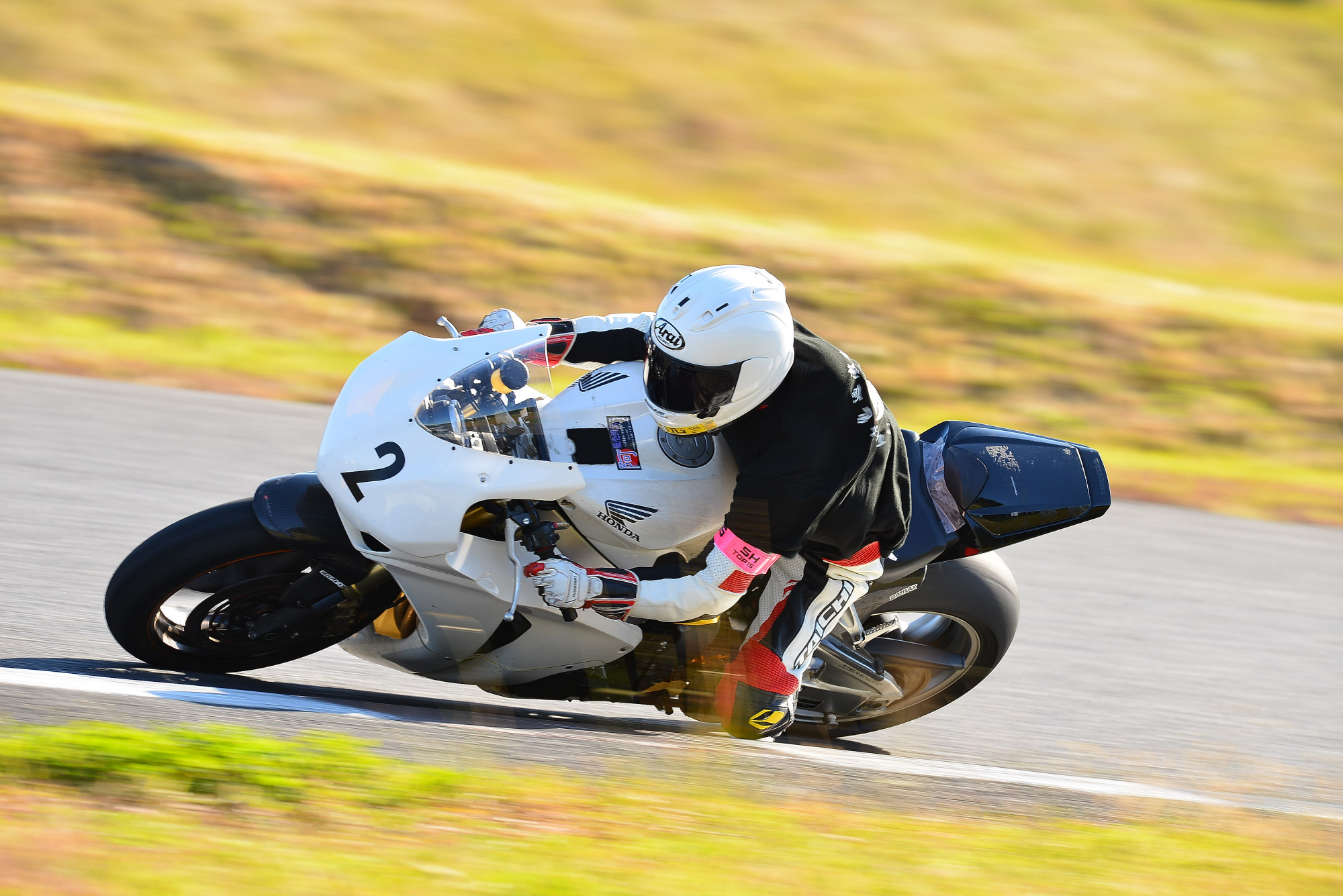 D8J_0015.JPG