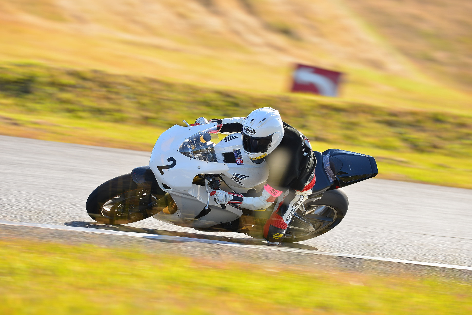 D8J_0028.JPG