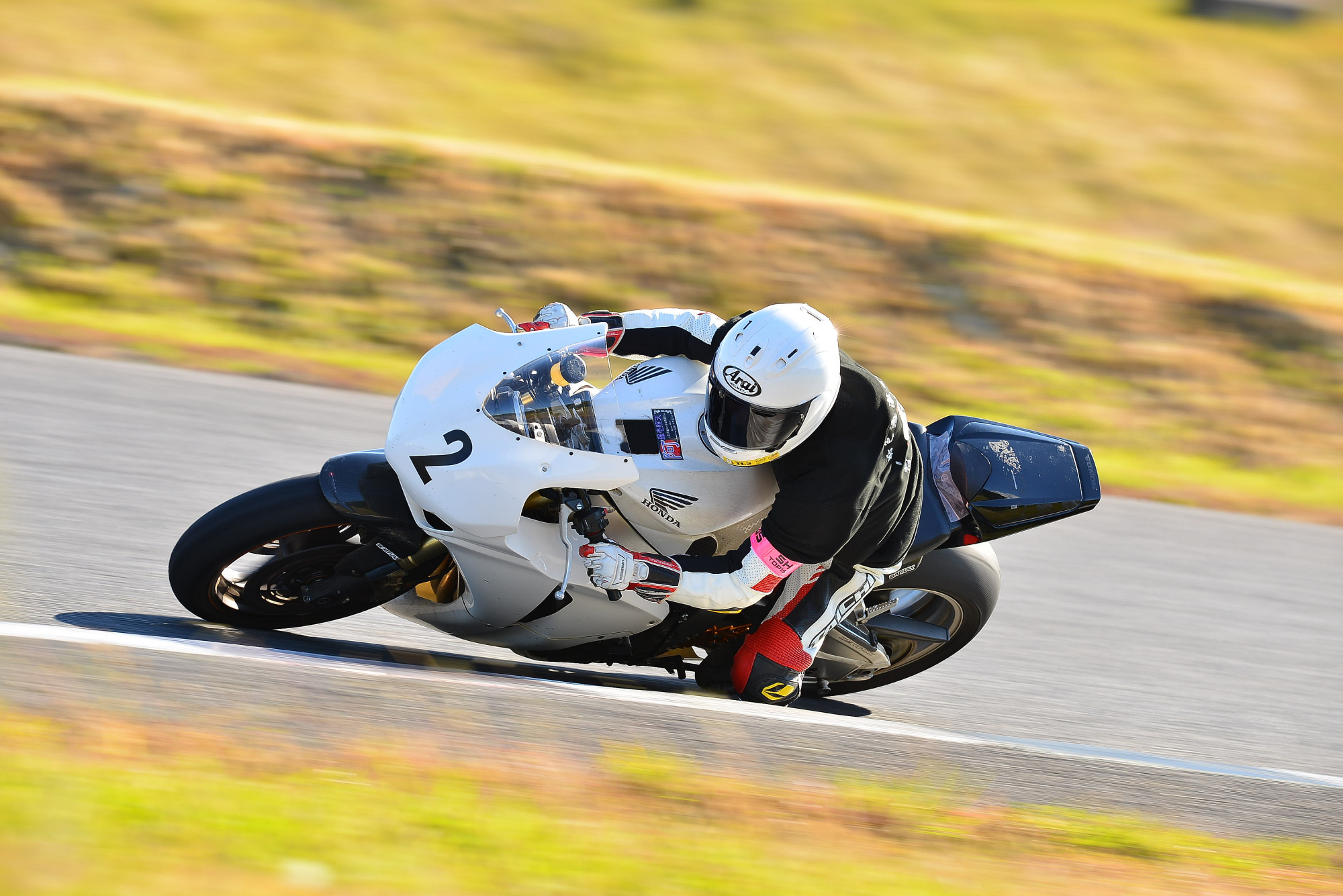 D8J_0037.JPG
