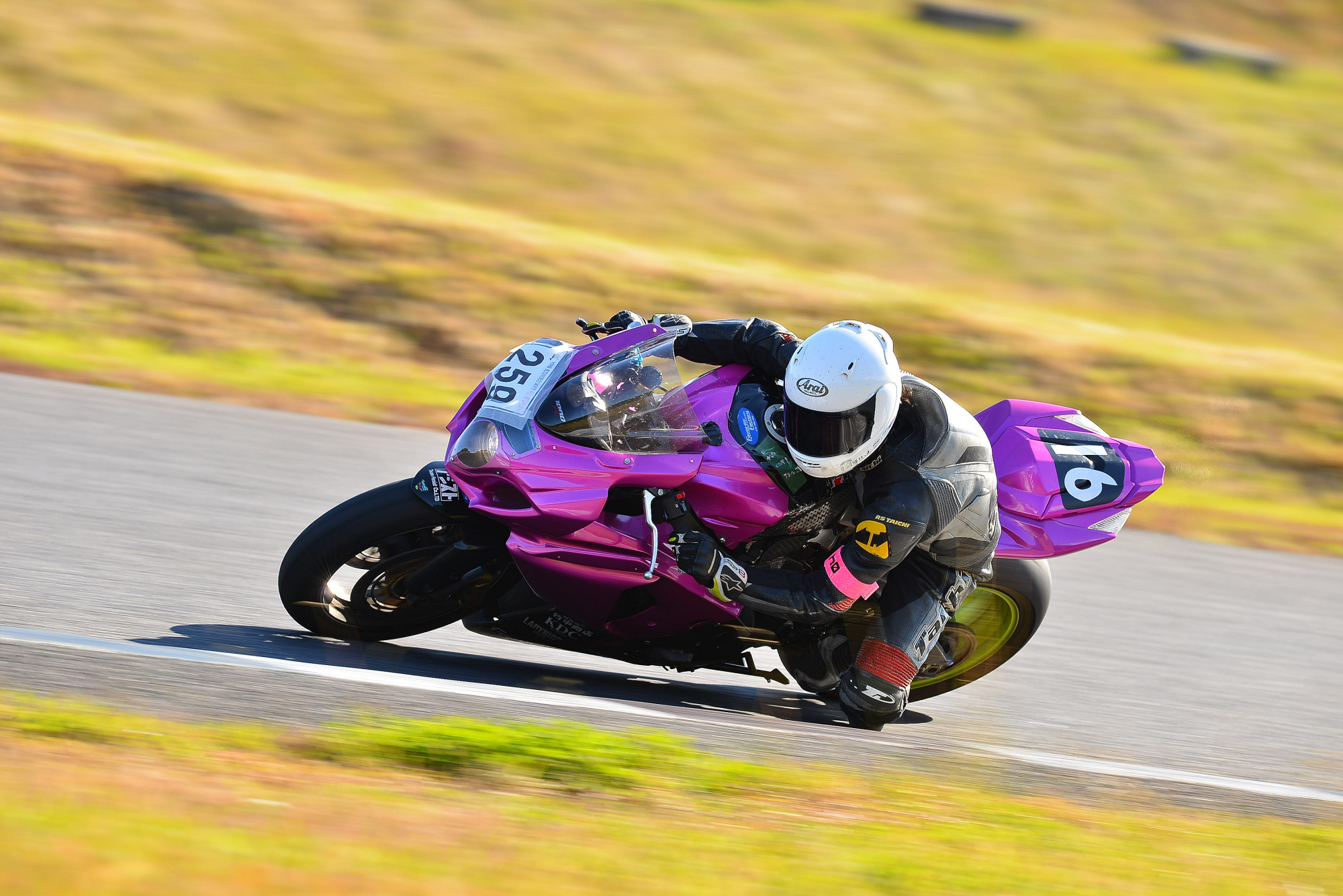 D8J_0039.JPG
