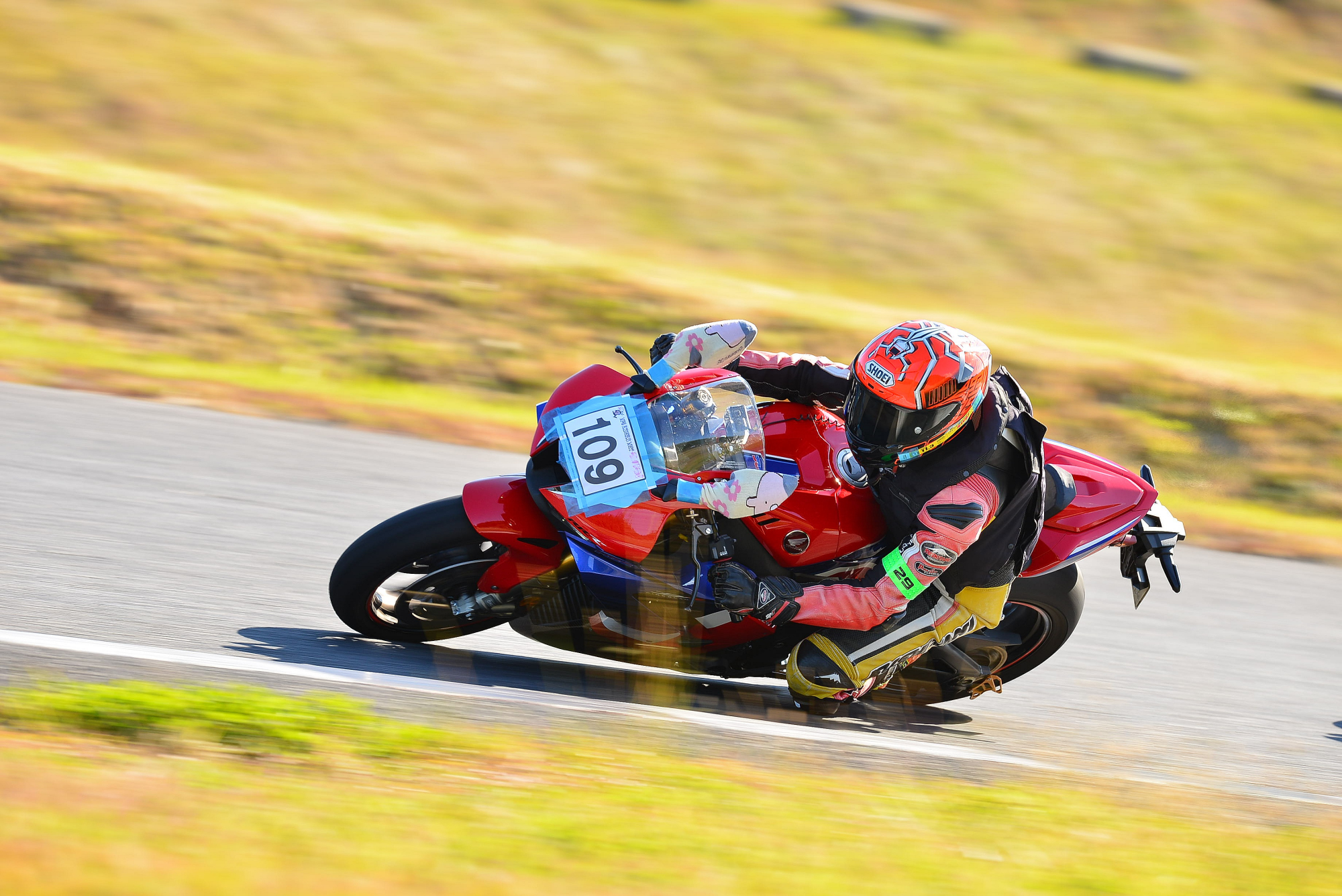 D8J_0044.JPG