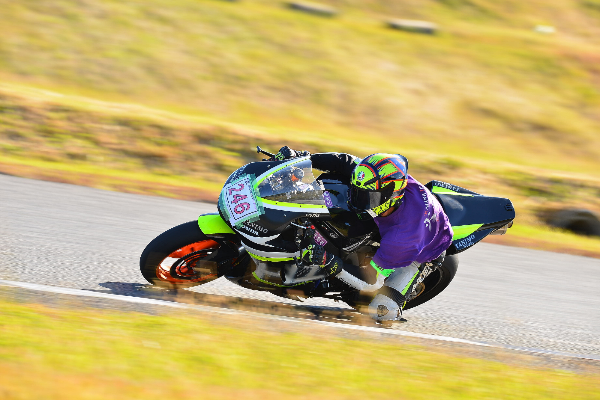 D8J_0046.JPG