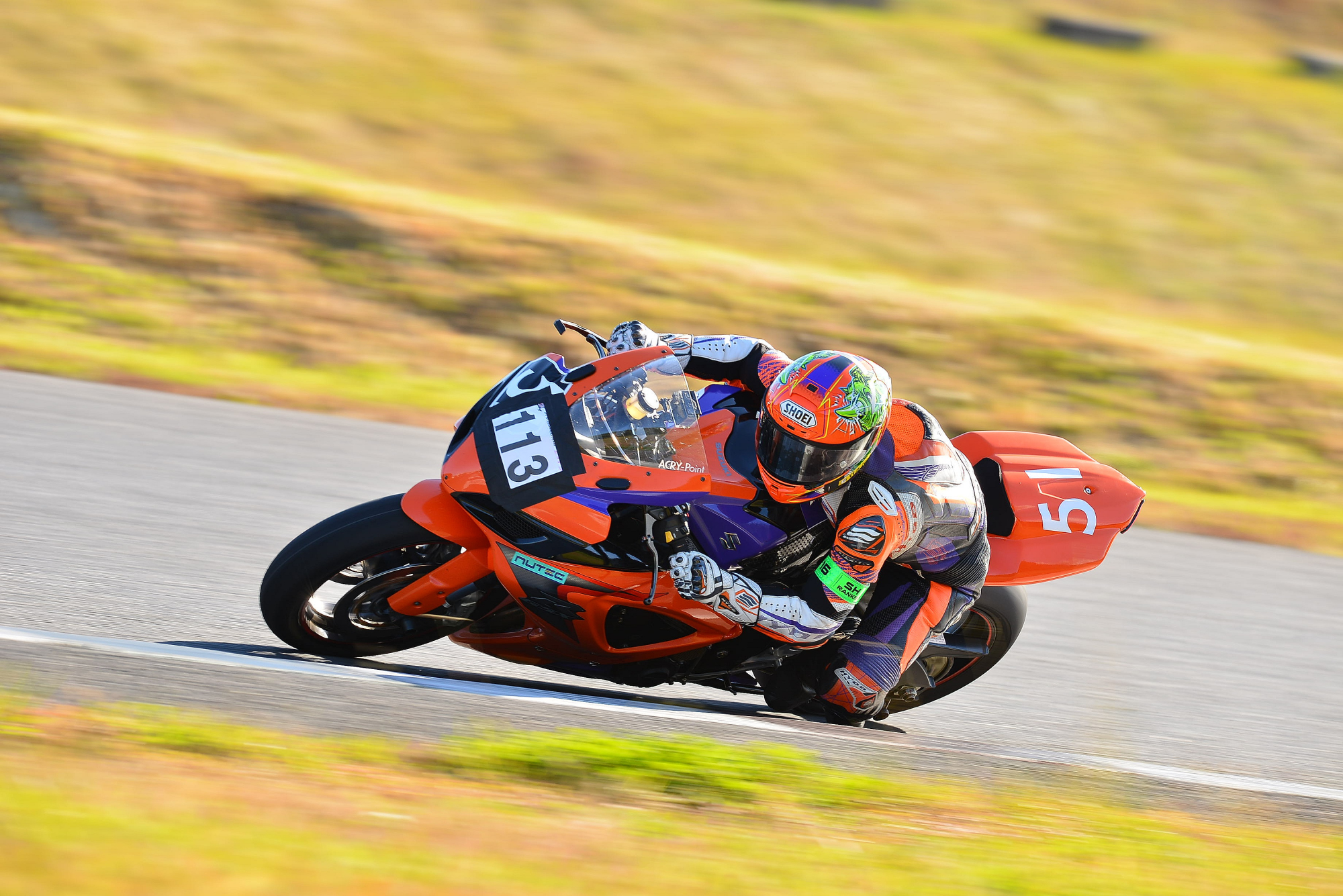 D8J_0049.JPG