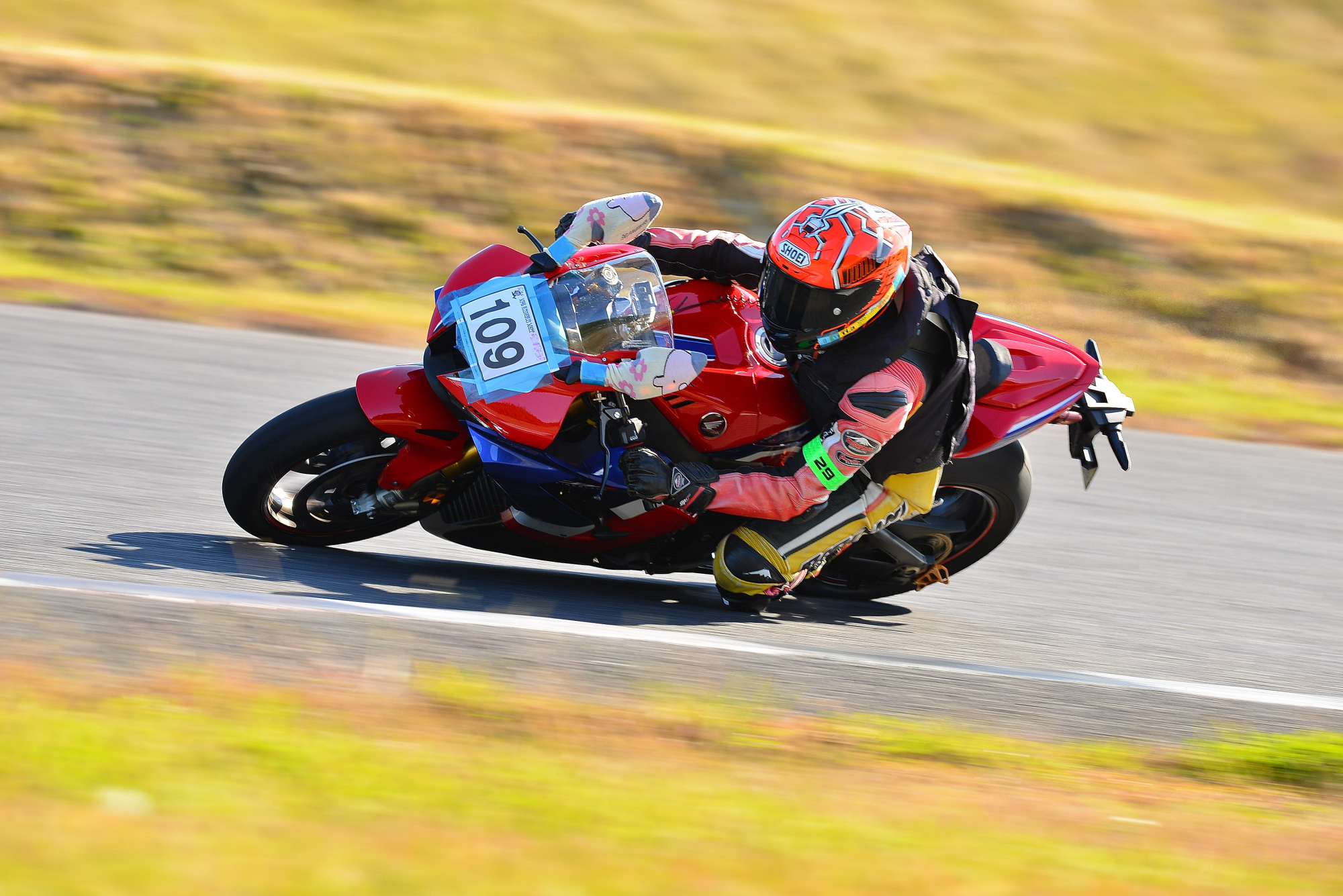 D8J_0057.JPG