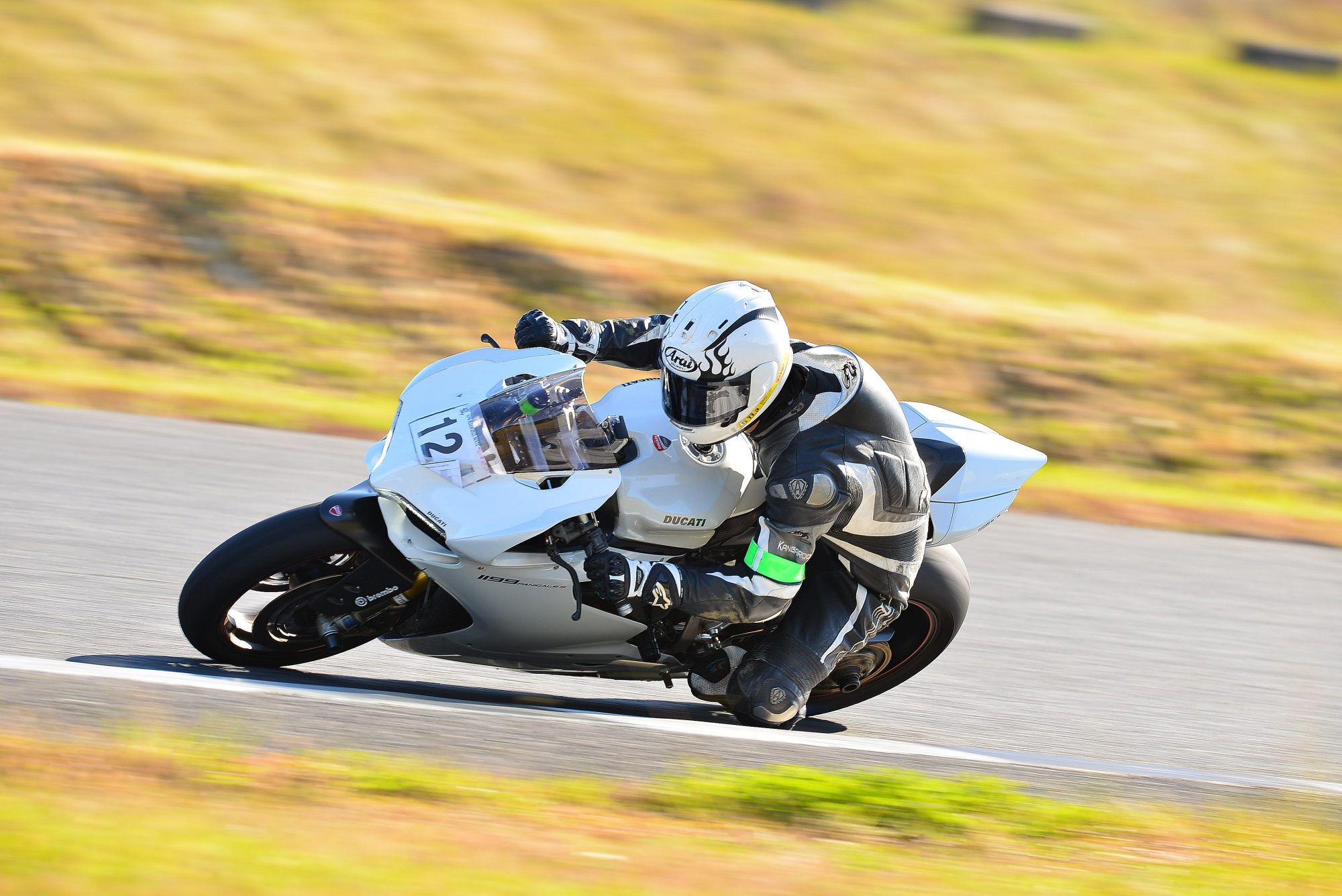 D8J_0061.JPG
