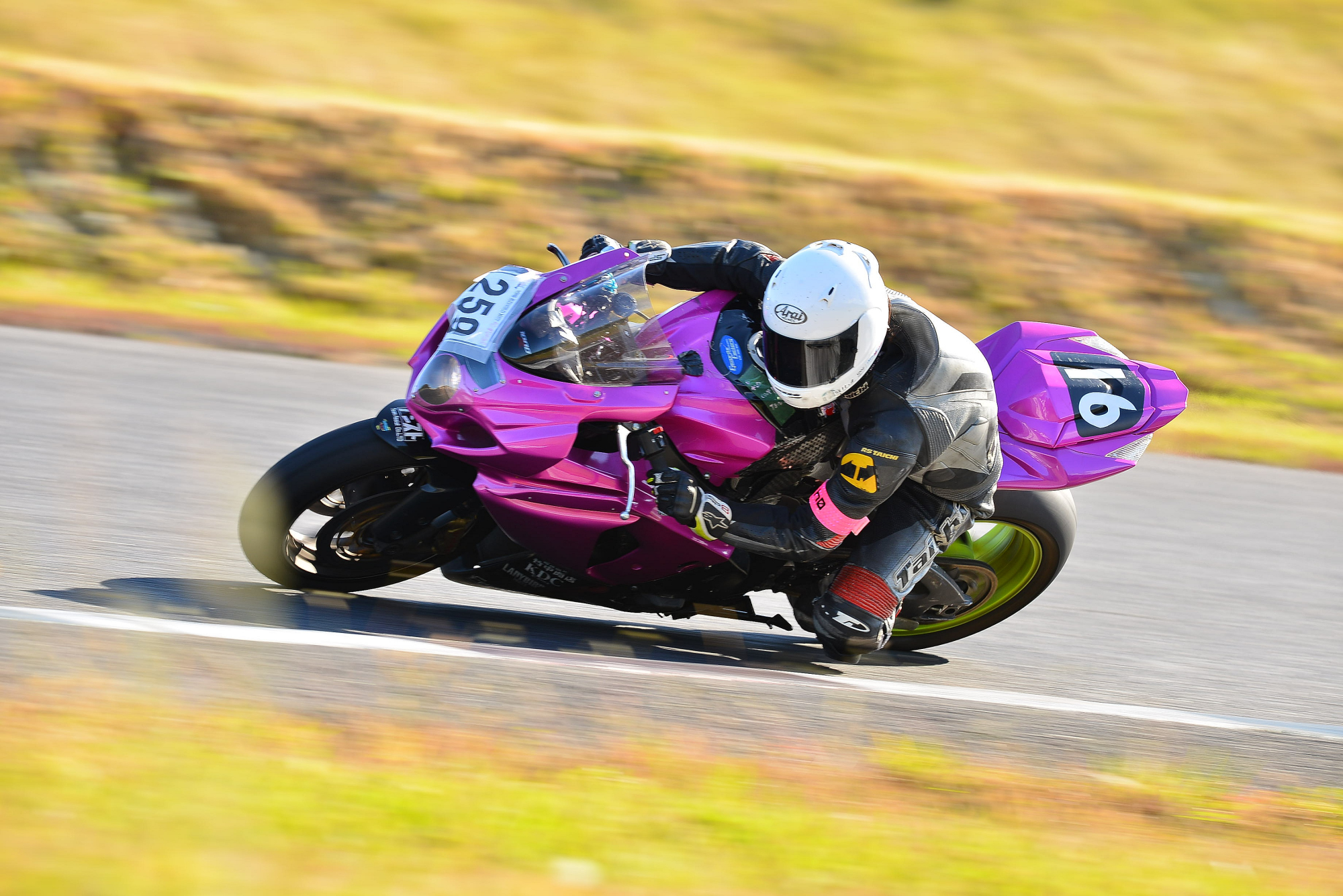 D8J_0068.JPG