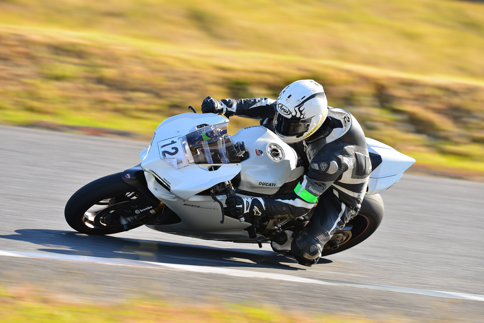 D8J_0074.JPG