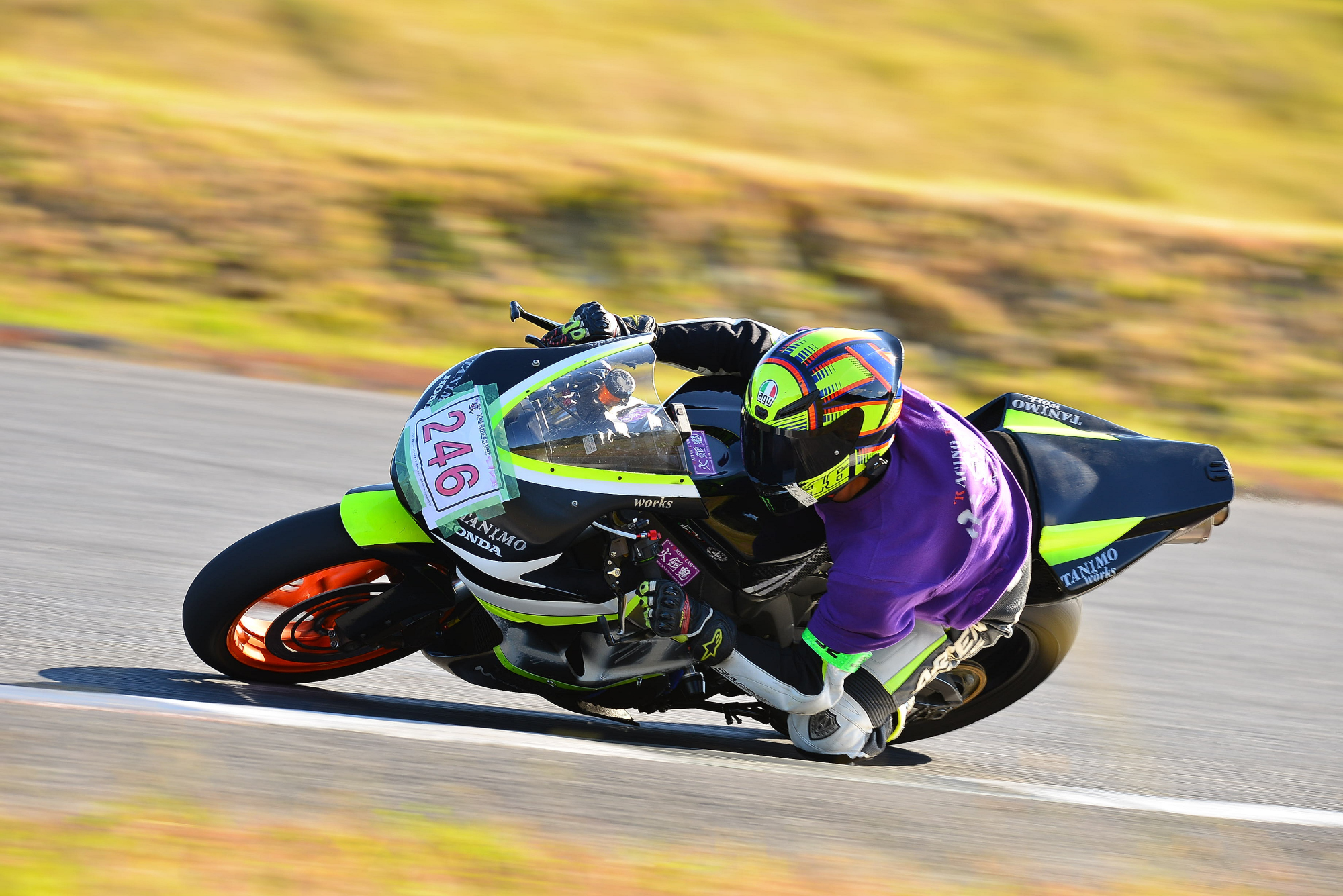 D8J_0077.JPG