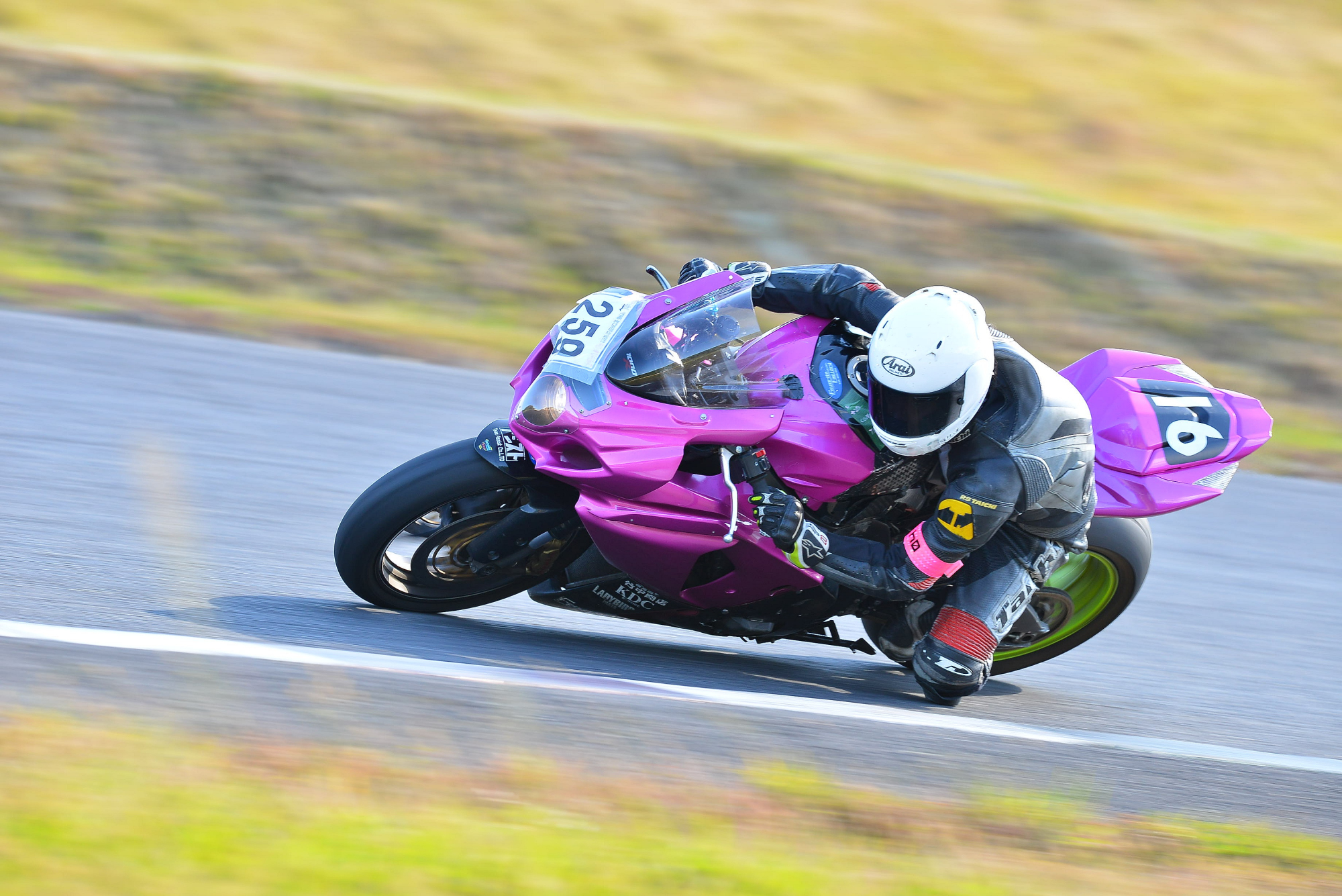 D8J_0082.JPG