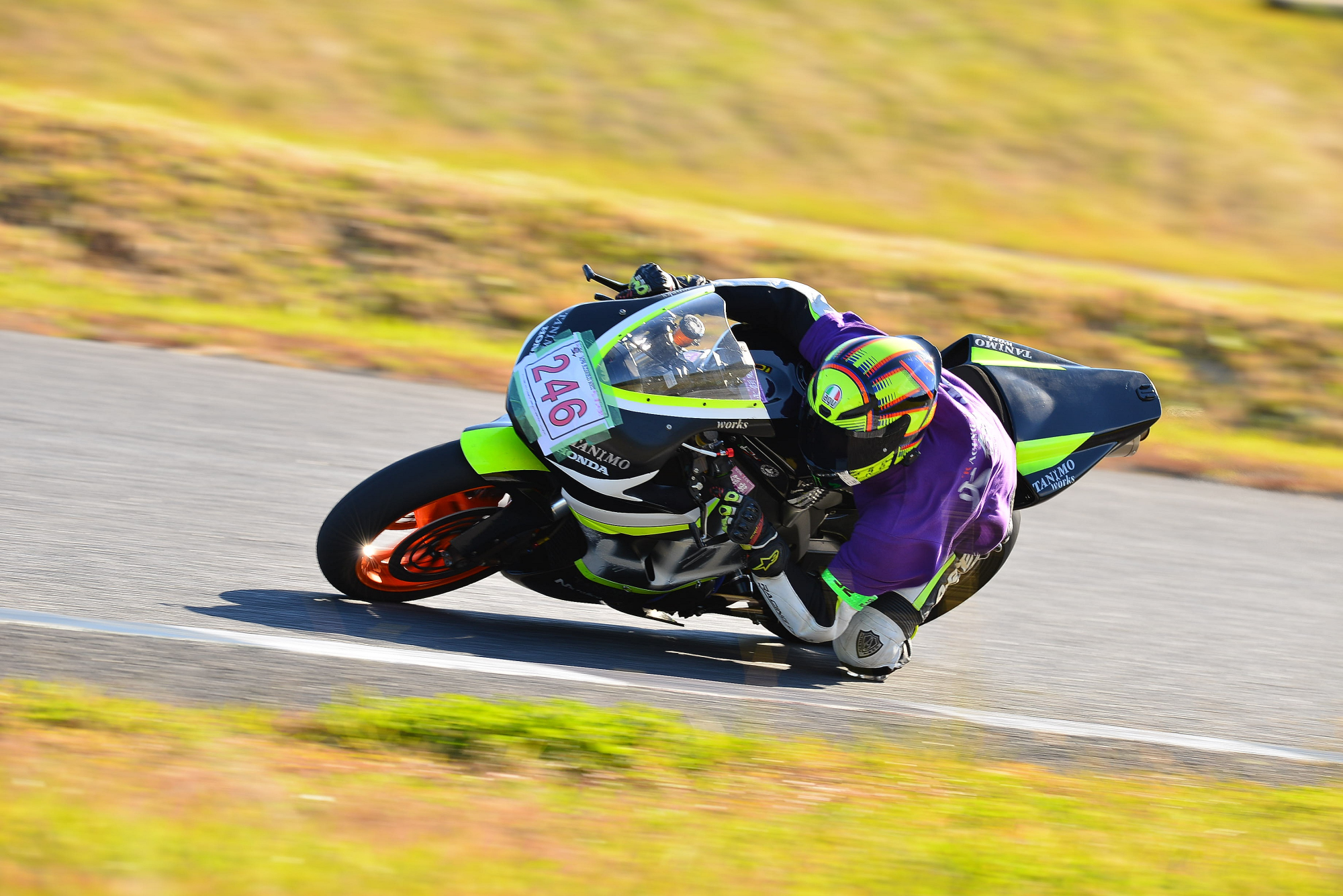 D8J_0089.JPG