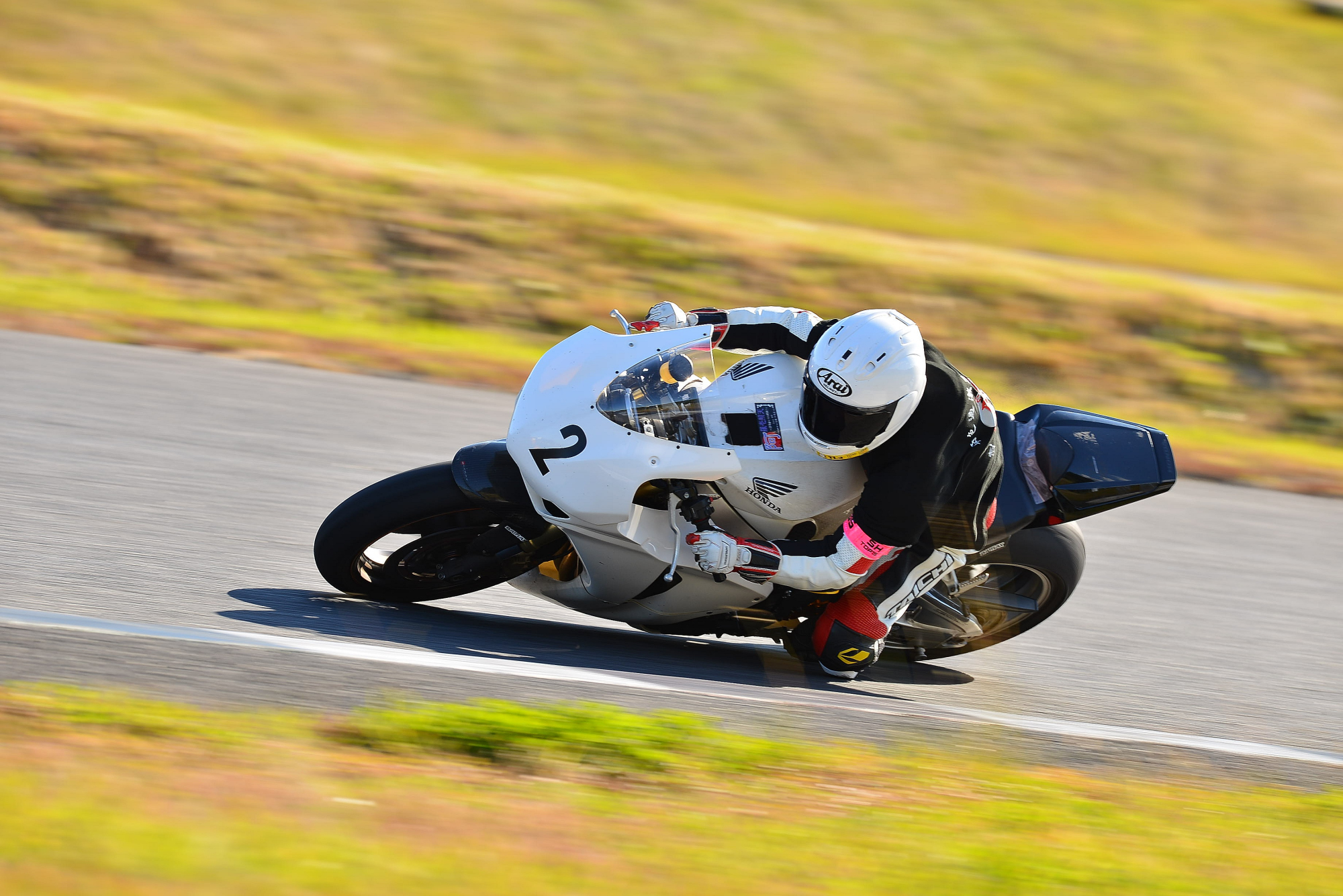 D8J_0091.JPG