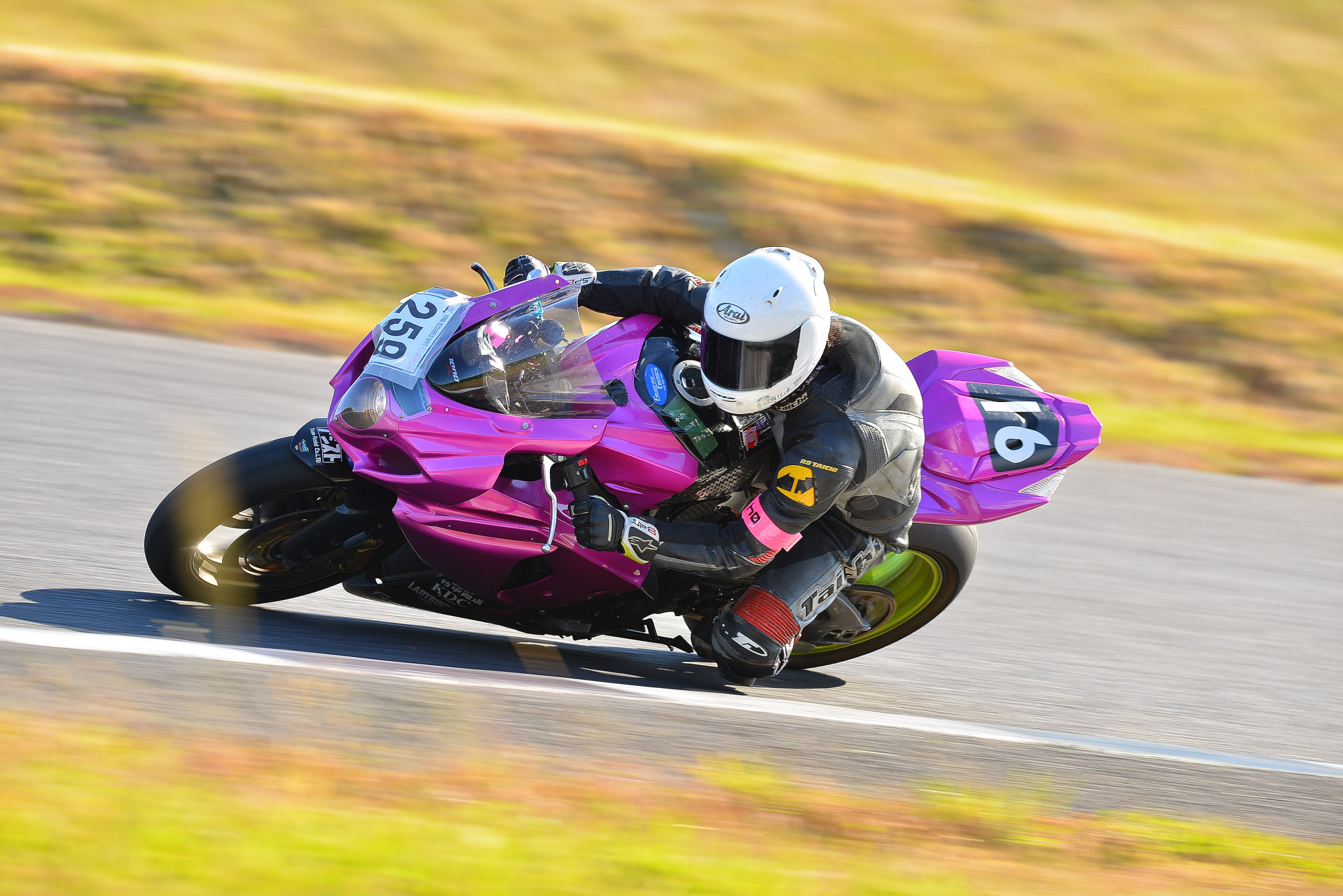 D8J_0095.JPG