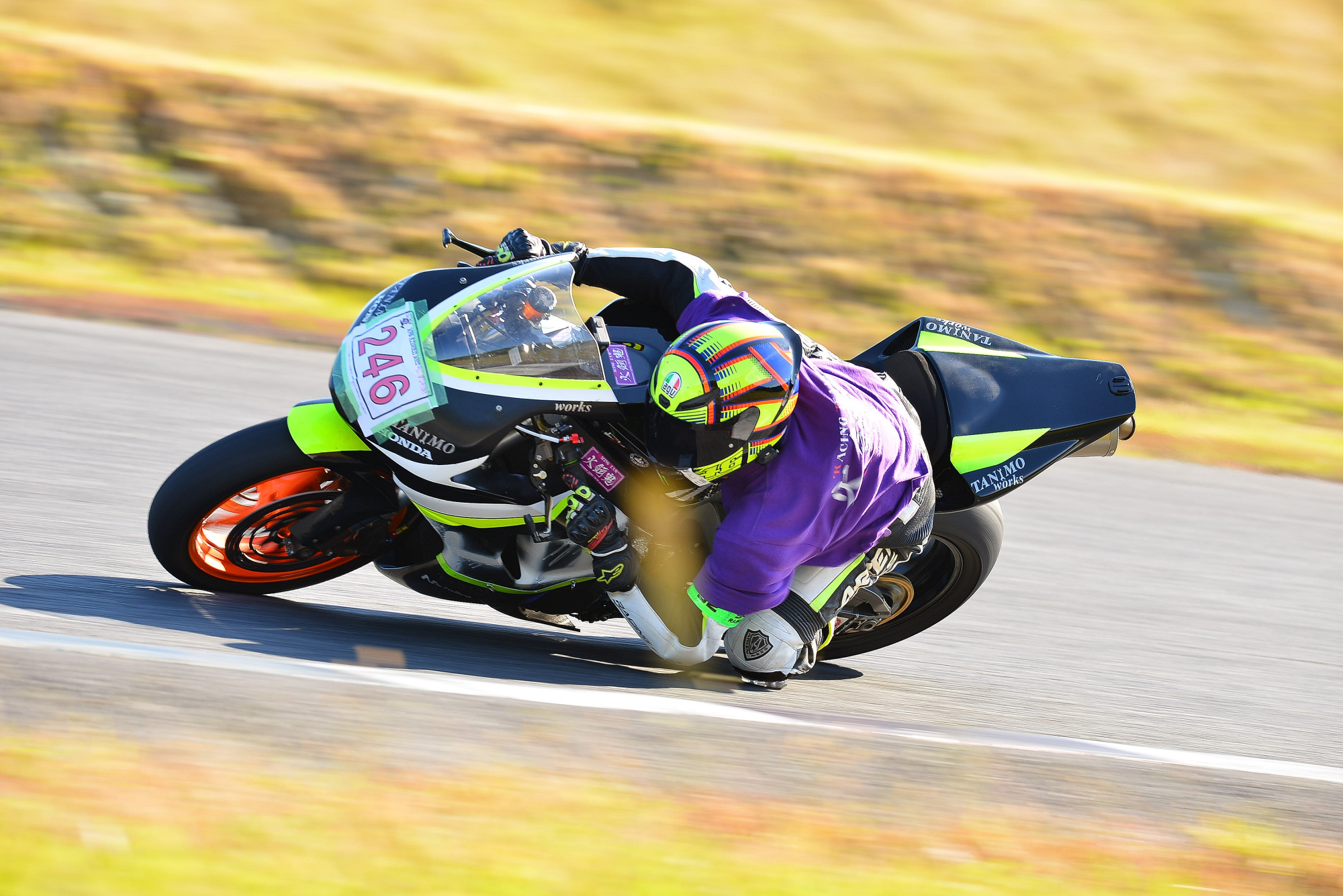 D8J_0099.JPG