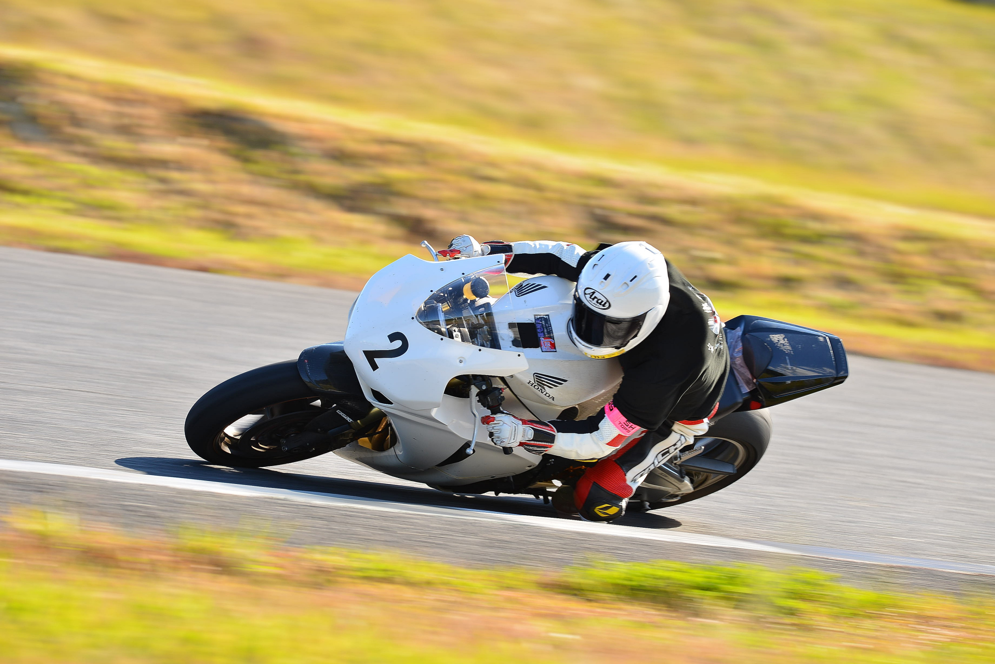 D8J_0101.JPG