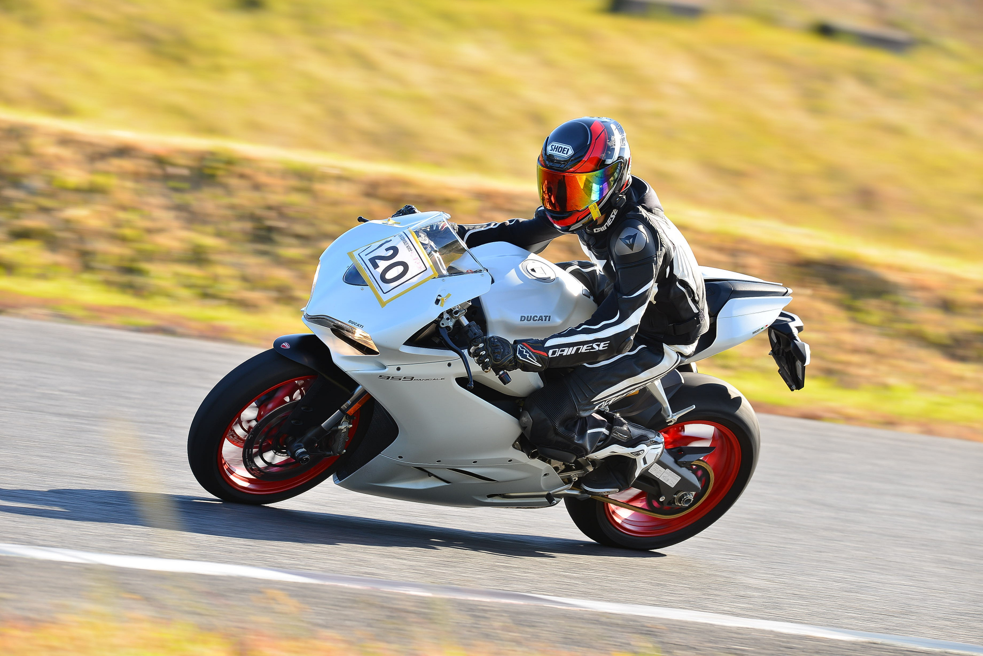 D8J_0127.JPG