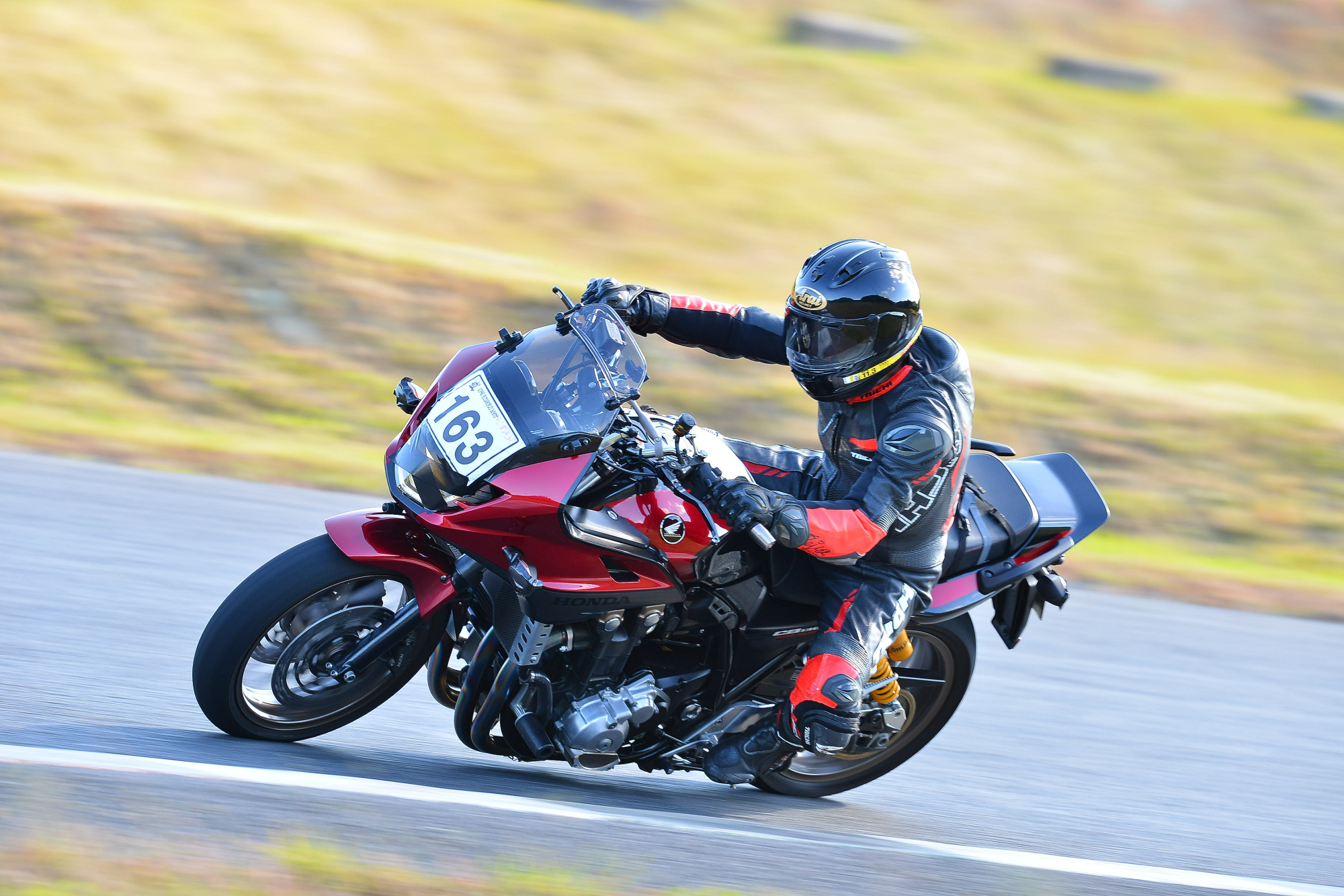 D8J_0137.JPG