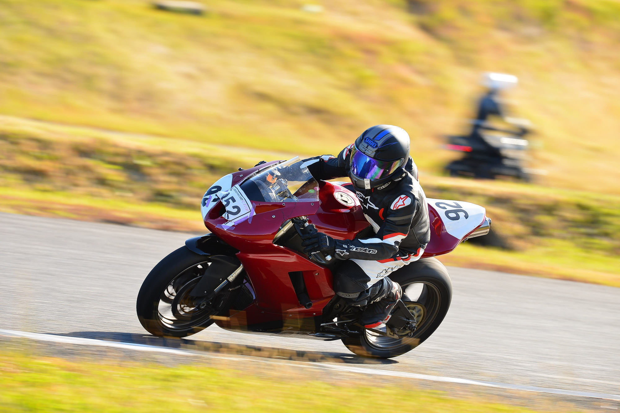 D8J_0197.JPG