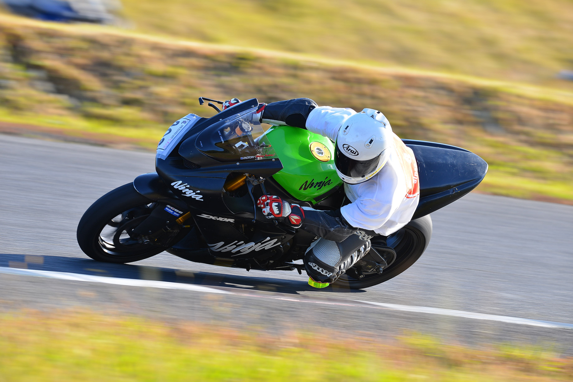 D8J_0466.JPG