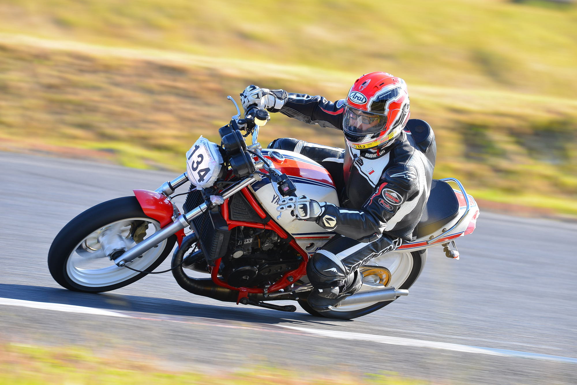 D8J_0480.JPG