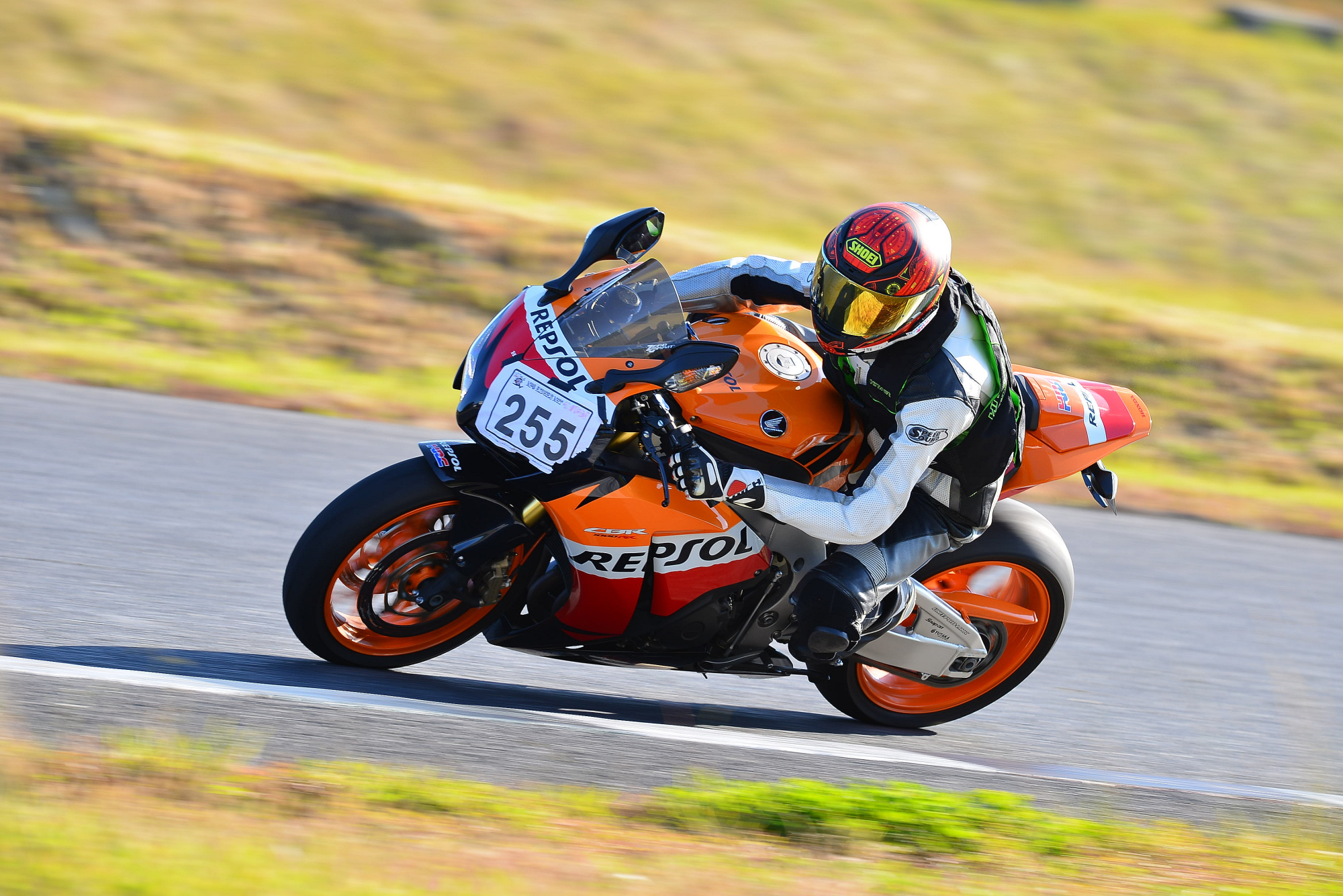D8J_0482.JPG