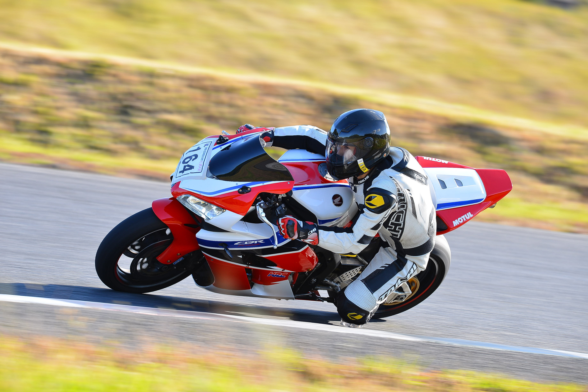 D8J_0493.JPG