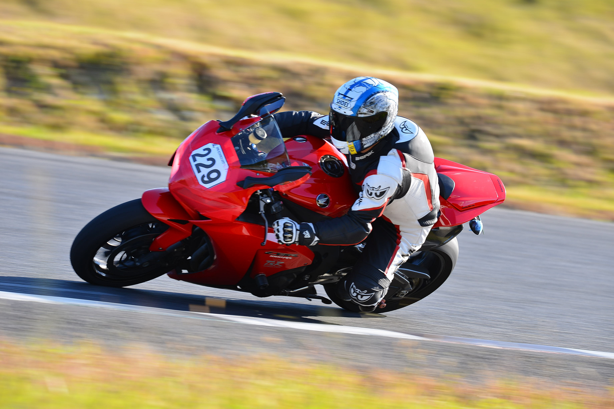 D8J_0517.JPG