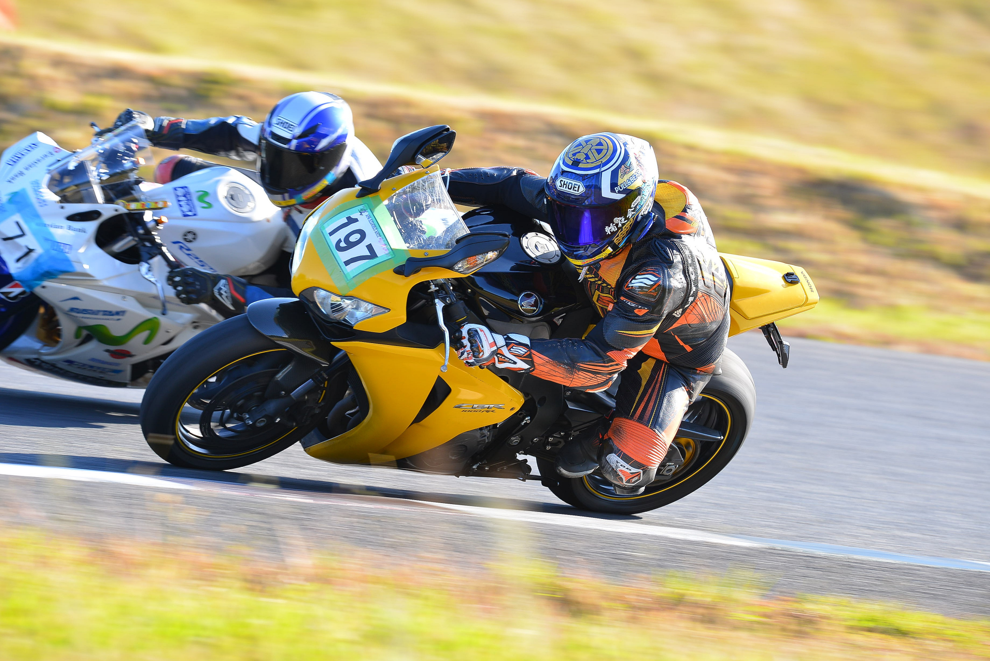 D8J_0528.JPG