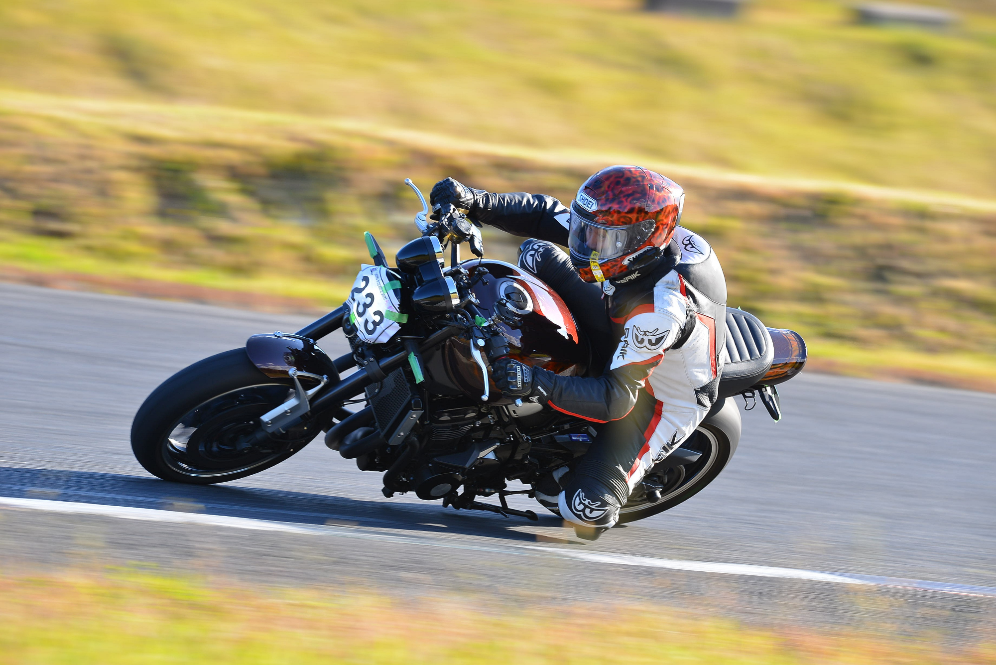 D8J_0686.JPG