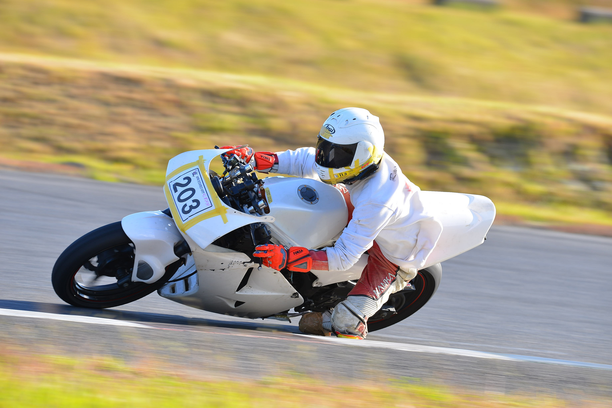 D8J_0698.JPG