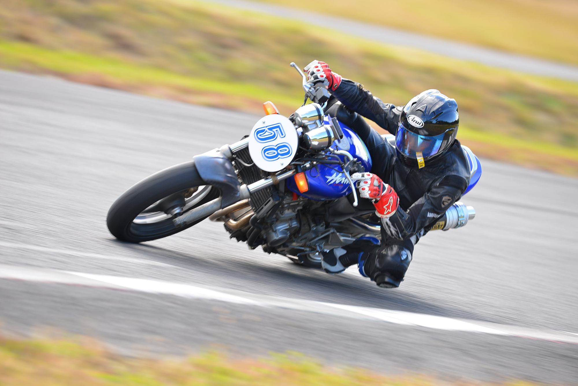 D8J_0181.JPG