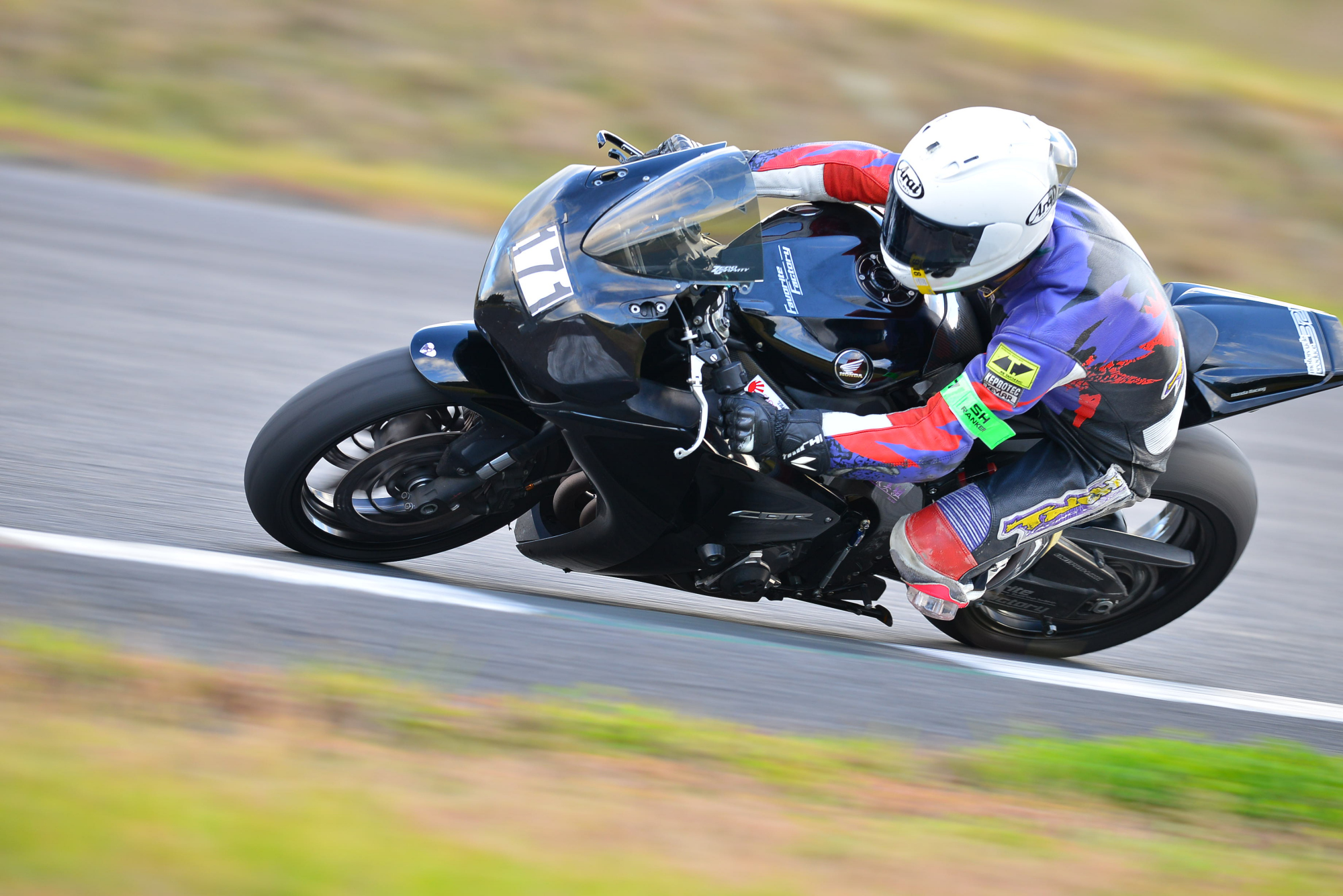 D8J_0915.JPG