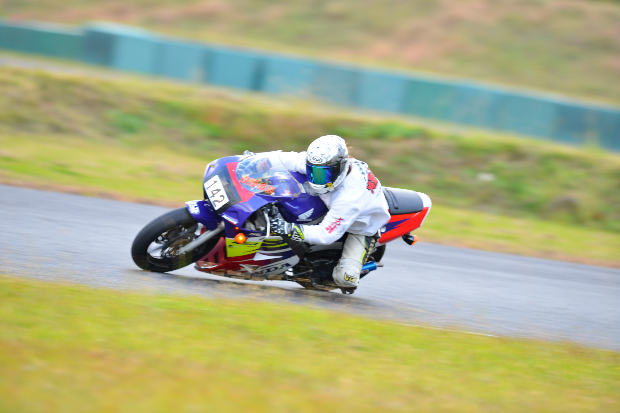 D8J_0939.JPG