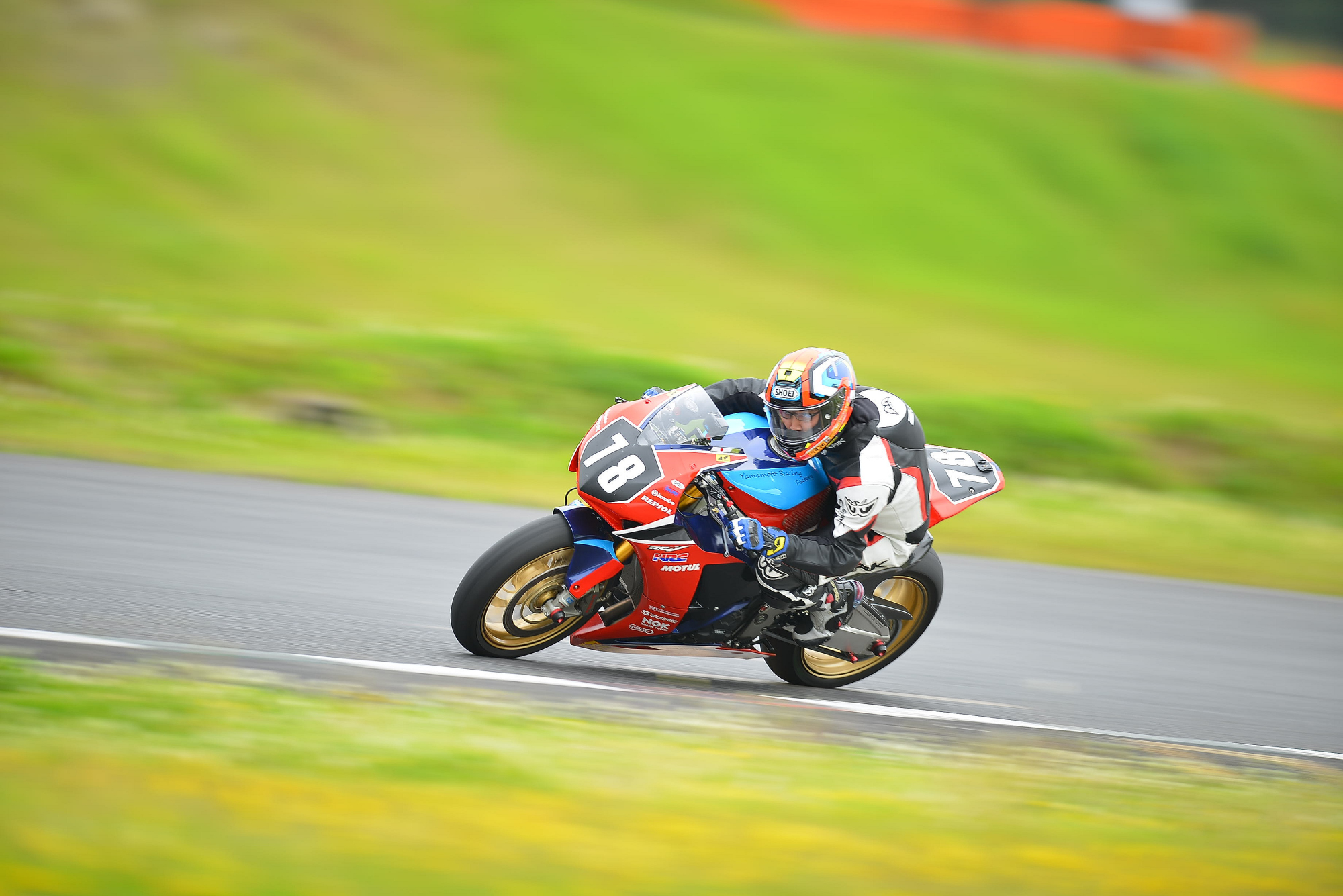 D8J_0554.JPG