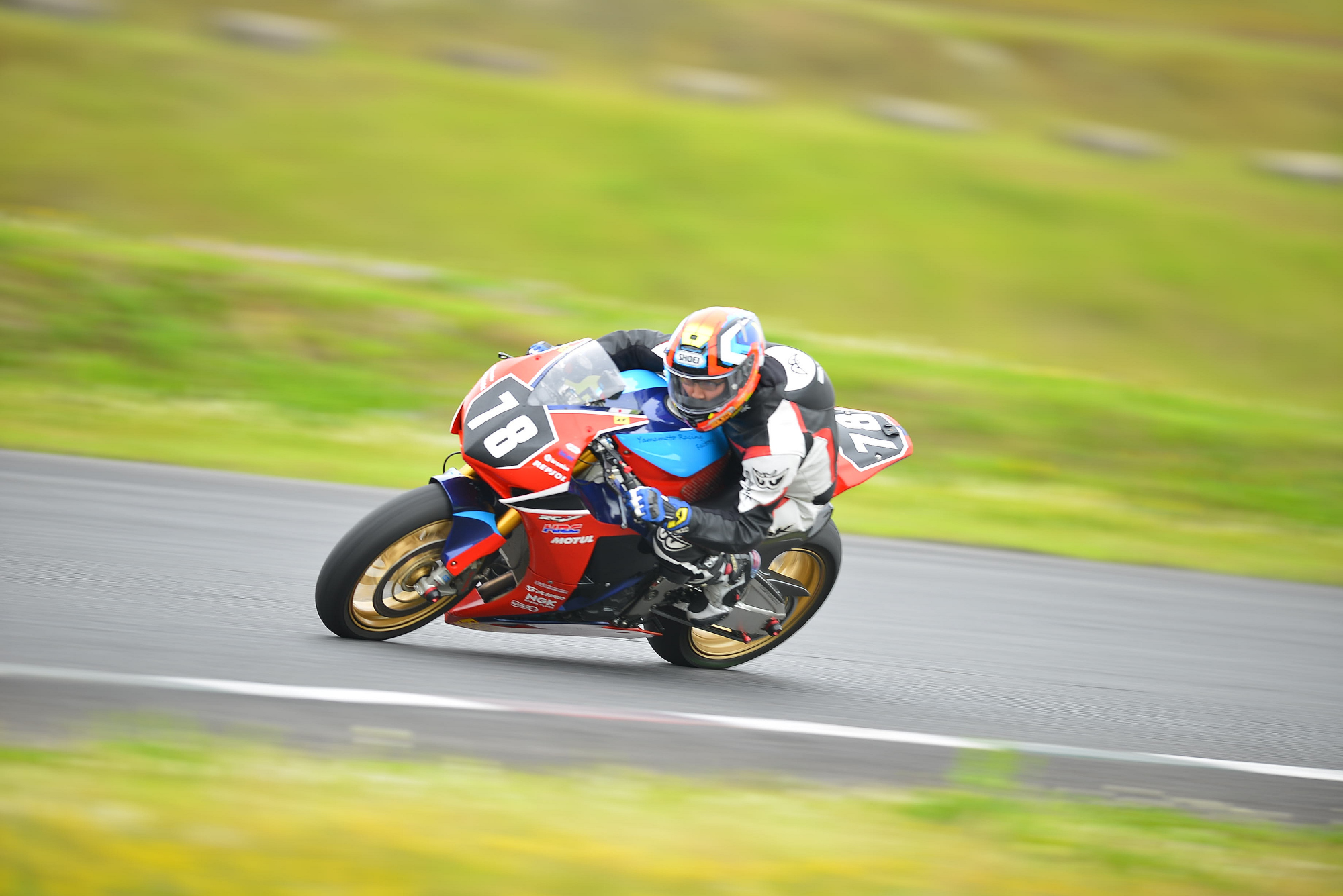 D8J_0613.JPG